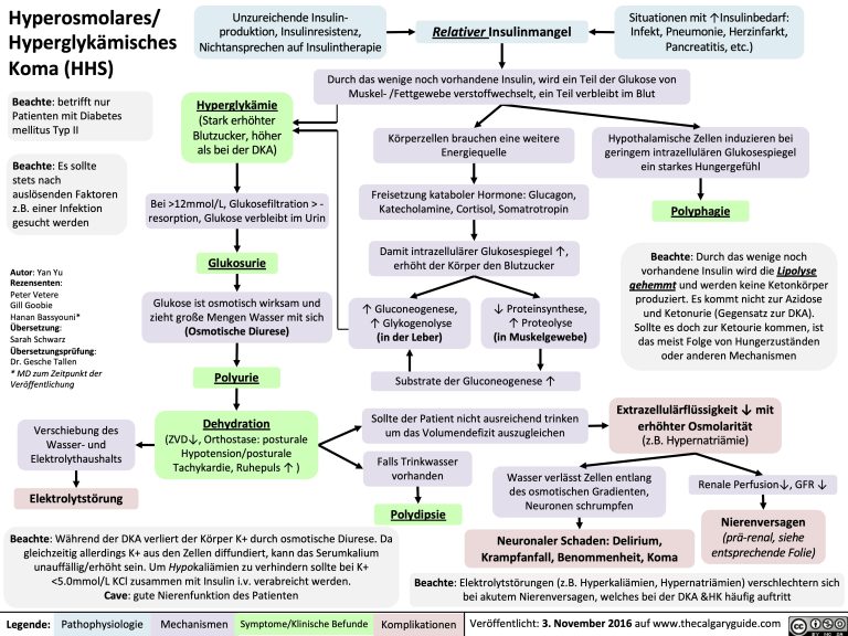 Hyperosmolares Hyperglyk Misches Koma Hhs Calgary Guide