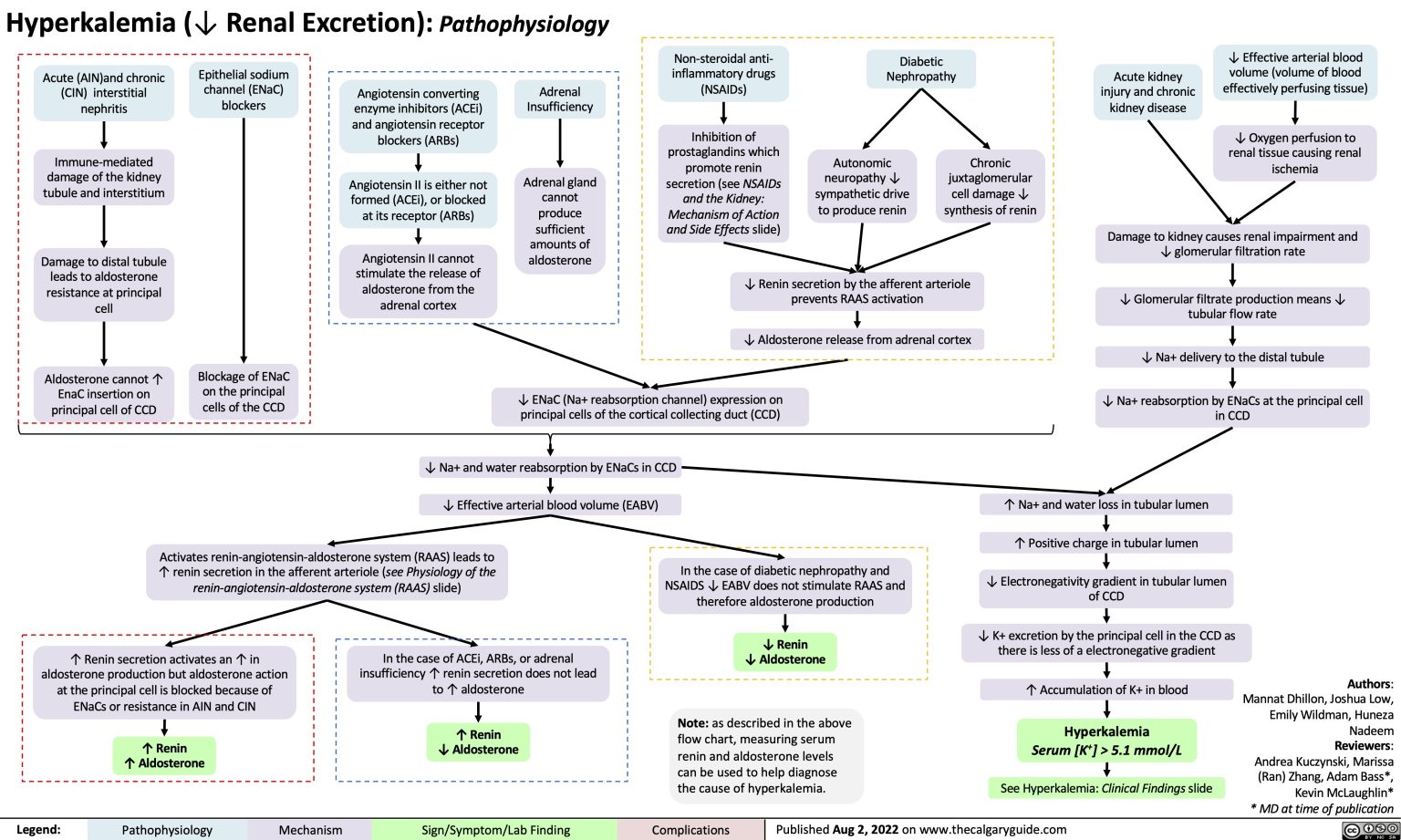 Hyperkalemia Detailed Pathophysiology Renal Excretion Calgary Guide