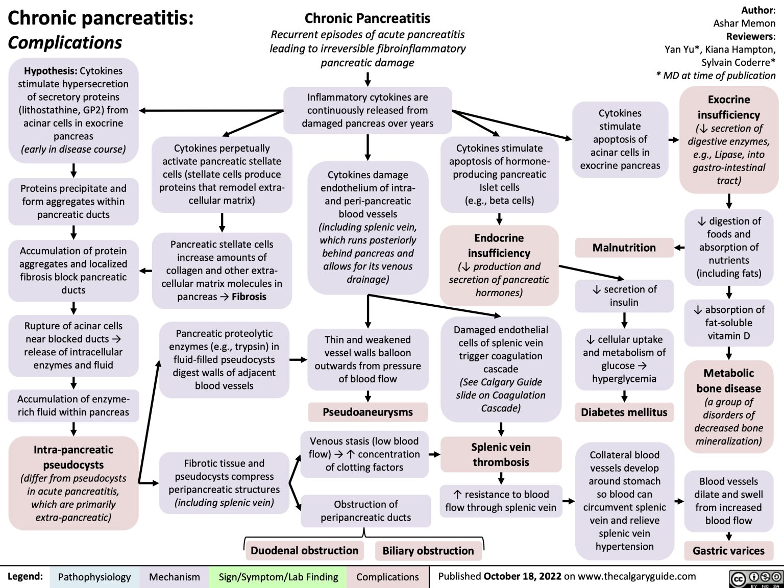 Chronic Pancreatitis Complications Calgary Guide