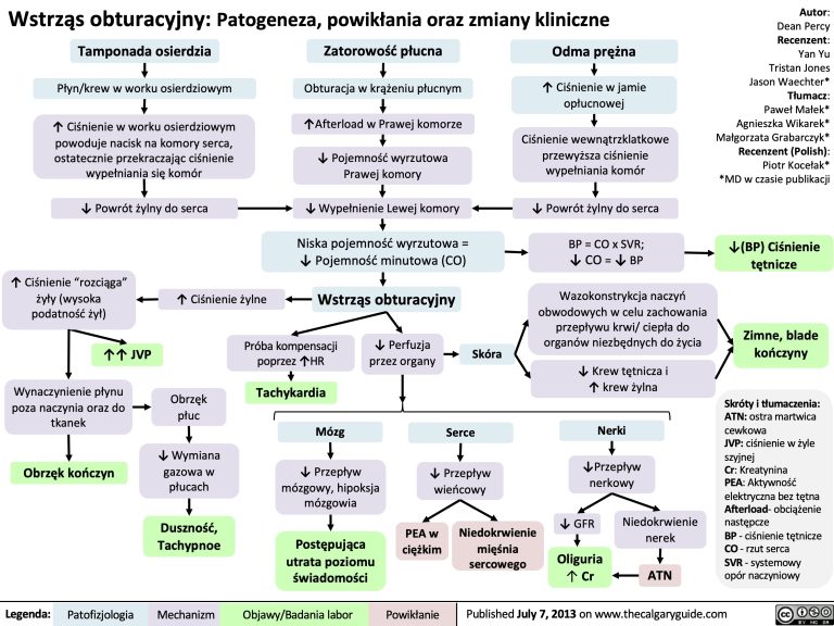 Wstrz S Obturacyjny Patogeneza Powik Ania Oraz Zmiany Kliniczne