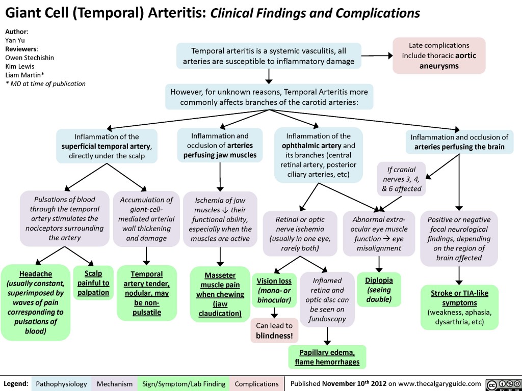 Giant Cell (Temporal) Arteritis: Clinical findings and Complications ...