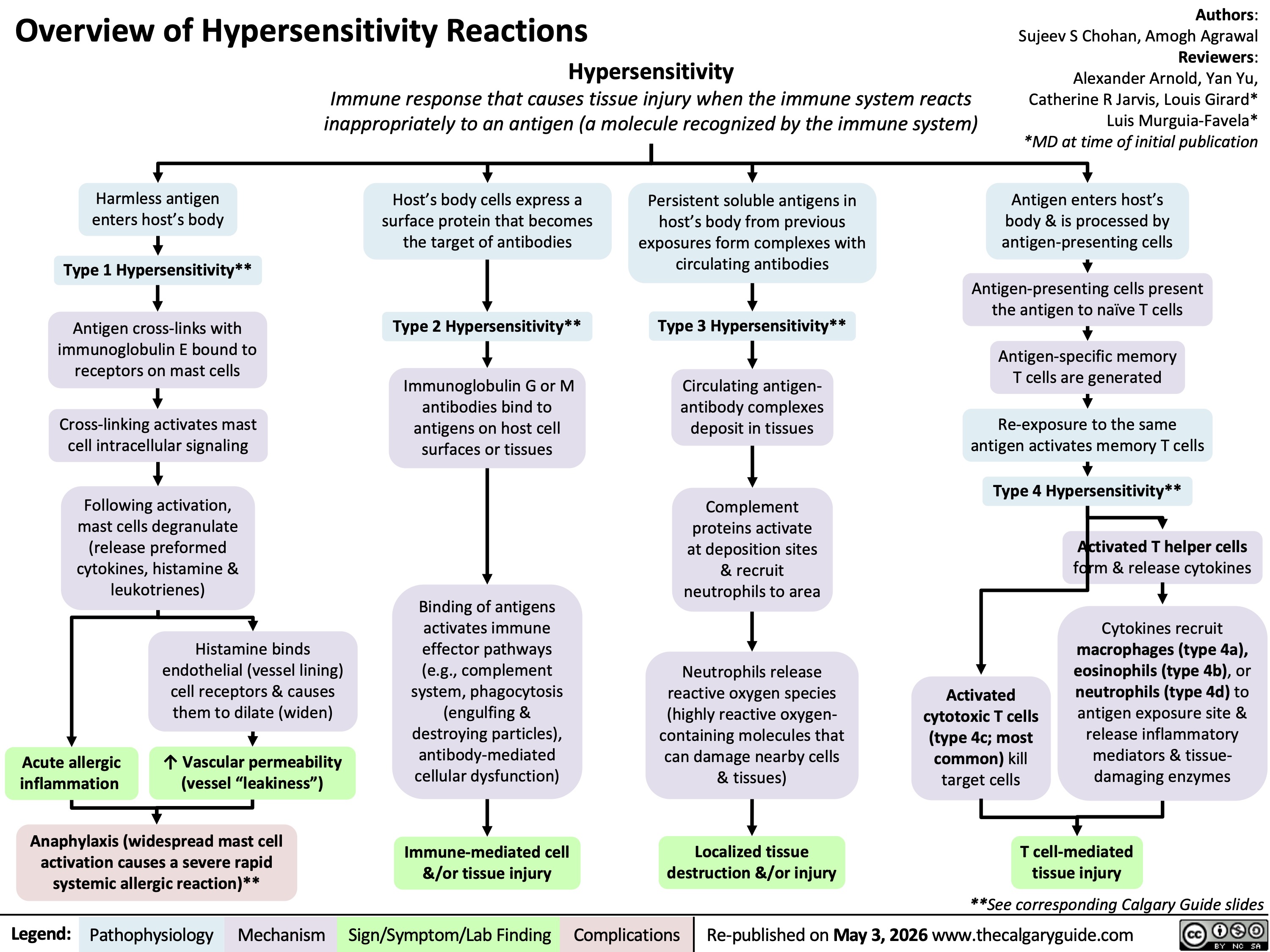 Overview of Hypersensitivity Reactions
Hypersensitivity
Immune response that causes tissue injury when the immune system reacts
inappropriately to an antigen (a molecule recognized by the immune system)
Harmless antigen
enters host’s body
Type 1 Hypersensitivity**
Antigen cross-links with
immunoglobulin E bound to
receptors on mast cells
Cross-linking activates mast
cell intracellular signaling
Following activation,
mast cells degranulate
(release preformed
cytokines, histamine &
leukotrienes)
Histamine binds
endothelial (vessel lining)
cell receptors & causes
them to dilate (widen)
Acute allergic
inflammation
↑ Vascular permeability
(vessel “leakiness”)
Anaphylaxis (widespread mast cell
activation causes a severe rapid
systemic allergic reaction)**
Legend: Host’s body cells express a
surface protein that becomes
the target of antibodies
Type 2 Hypersensitivity**
Immunoglobulin G or M
antibodies bind to
antigens on host cell
surfaces or tissues
Binding of antigens
activates immune
effector pathways
(e.g., complement
system, phagocytosis
(engulfing &
destroying particles),
antibody-mediated
cellular dysfunction)
Immune-mediated cell
&/or tissue injury
Pathophysiology Mechanism
Sign/Symptom/Lab Finding Complications
Persistent soluble antigens in
host’s body from previous
exposures form complexes with
circulating antibodies
Type 3 Hypersensitivity**
Circulating antigen-
antibody complexes
deposit in tissues
Complement
proteins activate
at deposition sites
& recruit
neutrophils to area
Neutrophils release
reactive oxygen species
(highly reactive oxygen-
containing molecules that
can damage nearby cells
& tissues)
Localized tissue
destruction &/or injury
Authors:
Sujeev S Chohan, Amogh Agrawal
Reviewers:
Alexander Arnold, Yan Yu,
Catherine R Jarvis, Louis Girard*
Luis Murguia-Favela*
*MD at time of initial publication
Antigen enters host’s
body & is processed by
antigen-presenting cells
Antigen-presenting cells present
the antigen to naïve T cells
Antigen-specific memory
T cells are generated
Re-exposure to the same
antigen activates memory T cells
Type 4 Hypersensitivity**
Activated T helper cells
form & release cytokines
Activated
cytotoxic T cells
(type 4c; most
common) kill
target cells
Cytokines recruit
macrophages (type 4a),
eosinophils (type 4b), or
neutrophils (type 4d) to
antigen exposure site &
release inflammatory
mediators & tissue-
damaging enzymes
T cell-mediated
tissue injury
**See corresponding Calgary Guide slides
Re-published on May 3, 2026 www.thecalgaryguide.com
1st slide = Final Draft
Harmless antigen
enters host’s body
Type 1 Hypersensitivity**
Antigen cross-links with
immunoglobulin E already bound
to Fc receptors on mast cells
Cross-linking activates mast
cell intracellular signaling
Following activation,
mast cells degranulate
(release preformed
cytokines, histamine &
leukotrienes)
Histamine binds
endothelial (vessel lining)
cell receptors & causes
them to contract
Acute
inflammation
↑ Vascular permeability
(vessel “leakiness”)
Anaphylaxis (a severe rapid
systemic allergic reaction caused by
widespread mast cell activation) **
Legend: Overview of Hypersensitivity Reactions: Classifications
Hypersensitivity
Immune response that causes tissue injury when the immune system reacts
inappropriately to an antigen (a molecule recognized by the immune system)
Authors:
Sujeev S Chohan, Amogh Agrawal
Reviewers:
Alexander Arnold, Yan Yu,
Catherine R Jarvis, Louis Girard*
Luis Murguia-Favela*
*MD at time of initial publication
Host body cells express a
surface protein that becomes
the target of antibodies
Type 2 Hypersensitivity**
Immunoglobulin G or
immunoglobulin M
antibodies bind to antigens
on host cell surfaces or
tissues
Binding of antigens
activates immune effector
pathways (e.g., complement
system, phagocytosis,
antibody-mediated cellular
dysfunction)
Persistent soluble antigens in
host’s body from previous
exposures form complexes with
circulating antibodies
Type 3 Hypersensitivity**
Circulating antigen-
antibody complexes
deposit in tissues
Complement proteins
activate at deposition
sites
Complement proteins
recruit neutrophils to
deposition sites
Neutrophils release reactive
oxygen species (highly reactive
oxygen-containing molecules that
can damage nearby cells &
tissues)
Immune-
mediated cell
&/or tissue
injury
Immune-
mediated target
cell &/or tissue
destruction
Localized tissue
inflammation
Localized tissue
destruction
Antigen enters host’s
body & is processed by
antigen-presenting cells
Antigen-presenting cells present
the antigen to naïve T cells
Antigen-specific memory
T cells are generated
Re-exposure to the same
antigen activates memory T cells
Type 4 Hypersensitivity**
Activated T cells
form & release
cytokines
Cytokines recruit
macrophages to
antigen exposure site
Activated T
cells kill
target cells
Activated macrophages
release inflammatory
mediators & tissue-
damaging enzymes
Cell-mediated
tissue injury
**See corresponding Calgary Guide slides
Re-published on XXXX www.thecalgaryguide.com
Pathophysiology Mechanism
Sign/Symptom/Lab Finding Complications
Legend: Overview of Hypersensitivity Reactions: Classifications
Authors:
Amogh Agrawal, Sujeev Chohan
Reviewers:
Alexander Arnold, Yan Yu,
Catherine R Jarvis, Louis Girard*
* MD at time of publication
Hypersensitivity
Immune response that causes tissue injury when the immune system reacts inappropriately to an antigen
Acute
inflammation
Host body cells express a
surface protein that becomes
the target of antibodies
Type 2 Hypersensitivity**
Immunoglobulin G or
immunoglobulin M
antibodies bind to antigens
on host cell surfaces or
tissues
Binding of antigens
activates immune effector
pathways (e.g., complement
system, phagocytosis,
antibody-mediated cellular
dysfunction)
Immune-
mediated
tissue injury
Destruction of
targeted cells
or tissues
Persistent, soluble antigens in
host’s body from previous
exposures form complexes with
circulating antibodies
Type 3 Hypersensitivity**
Circulating antigen-
antibody complexes
deposit in tissues
Complement proteins
activate at the site of
deposition
Complement proteins
recruit neutrophils to
site of deposition
Neutrophils release
reactive oxygen
species
Antigen enters host’s
body and is processed by
antigen-presenting cells
Antigen-presenting cells
present the antigen to naïve
T-cells
Antigen-specific memory
T-cells are generated
Re-exposure to the same
antigen activates memory
T-cells
Type 4 Hypersensitivity**
Activated T-cells
form and release
cytokines
Activated T-
cells kill
target cells
Cytokines recruit
macrophages to
the site
Localized tissue
inflammation
Localized tissue
destruction
Cell-mediated
tissue injury
**See corresponding Calgary Guide slide
Re-published on XXXX www.thecalgaryguide.com
Harmless antigen
enters host’s body
Type 1 Hypersensitivity**
Antigen cross-links
mast cell-bound
immunoglobulin E
Cross-linking activates mast
cell intracellular signaling
Mast cell degranulation
(release of preformed
cytokines, histamine and
leukotrienes) occurs
following activation
Histamine binds
endothelial cell receptors
causing them to contract
↑ vascular
permeability
Anaphylaxis**
Mechanism
Pathophysiology Sign/Symptom/Lab Finding Complications
Hypersensitivity Reactions: Classifications
Hypersensitivity
Immune response that causes tissue injury when the immune system reacts inappropriately to an antigen
Acute
inflammation
Host cell expresses a surface
protein that becomes the target
of antibodies
Type 2 Hypersensitivity**
Immunoglobulin G or
immunoglobulin M
antibodies bind to antigens
on host cell surfaces or
tissues
Binding of antigens
activates immune effector
pathways (e.g., complement
system, phagocytosis,
antibody-mediated cellular
dysfunction)
Immune-
mediated
injury
Destruction of
targeted cells
or tissues
Authors:
Amogh Agrawal, Sujeev Chohan
Reviewers:
Alexander Arnold
Yan Yu
Louis Girard*
* MD at time of publication
Legend: Harmless antigen
enters host body
Type 1 Hypersensitivity**
Antigen cross-links
mast cell-bound
immunoglobulin E
Cross-linking activates mast
cell intracellular signaling
Mast cell degranulation
(release of preformed
cytokines, histamine, and
leukotrienes) occurs
following activation
Histamine binds
endothelial cell receptors
causing them to contract
↑ vascular
permeability
Anaphylaxis**
Mechanism
Pathophysiology Sign/Symptom/Lab Finding Complications
Persistent, soluble antigens
from previous exposure form
complexes with circulating
antibodies
Type 3 Hypersensitivity**
Circulating antigen-
antibody complexes
deposit in tissues
Complement proteins
activate at the site of
deposition
Complement proteins
recruit neutrophils to
site of deposition
Neutrophils release
reactive oxygen
species
Antigen enters the body
and is processed by
antigen-presenting cells
Antigen-presenting cells
present the antigen to naïve
T-cells
Antigen-specific memory
T-cells are generated
Re-exposure to the same
antigen activates memory
T-cells
Type 4 Hypersensitivity**
Activated T-cells
form and release
cytokines
Activated T-
cells kill
target cells
Cytokines recruit
macrophages to
the site
Localized tissue
inflammation
Localized tissue
destruction
Cell-mediated
tissue injury
**See corresponding Calgary Guide slide
Re-published on www.thecalgaryguide.com
Hypersensitivity Reactions: Classifications
Authors:
Amogh Agrawal
Reviewers:
Alexander Arnold
Yan Yu
Hypersensitivity
Louis Girard*
(Immune response that causes tissue injury when the immune system reacts inappropriately to an antigen)
* MD at time of publication
Type I
Immunoglobulin E
antibodies bind to
harmless antigens
Type II
Immunoglobulin G or
immunoglobulin M antibodies
bind to antigens on host cell
surfaces or tissues
Mast cell degranulation
Inflammatory mediators
(e.g., cytokines, histamine,
leukotrienes) are released
Immune effector pathways (e.g.,
complement system,
phagocytosis, antibody-mediated
cellular dysfunction) activate
Immune-mediated injury or
destruction of targeted
cells or tissues
Type III
Circulating antigen-
antibody complexes deposit
in tissues
Immune responses at the
site of deposition
Complement proteins
& inflammatory cells
activate at site
Localized tissue
inflammation & damage
Type IV
Exposure to allergen causes
development of allergen-
specific T-Cell response
Activated T-
Cells release
cytokines
Activated
T-Cells kill
target cells
Acute inflammation &
↑ vascular permeability
Anaphylaxis**
Delayed cell-mediated
tissue injury
Legend: Pathophysiology Mechanism
Sign/Symptom/Lab Finding Complications
**See corresponding Calgary Guide slide
Re-published on www.thecalgaryguide.com
Hypersensitivity and Allergy: Definitions
Authors:
Amogh Agrawal
Reviewers:
Alexander Arnold
Yan Yu
Louis Girard*
* MD at time of publication
Hypersensitivity
The immunological mechanism of action behind the allergic response
Type I
Production of IgE Abs
that bind to harmless
allergens and activate
mast cell degranulation,
leading to an allergic
reaction
Type II
Antigenic modification of
body’s cell surfaces causes an
immune reaction against the
antigen, cell surface, and
antigen-surface complex,
leading to an allergic reaction
Type III
Deposition and accumulation of
small antibody-antigen complexes
(produced from normal immune
response to infection) in different
tissues incites immune reaction,
leading to an allergic reaction
Type IV
Unique because it is entirely T-Cell
mediated; exposure to allergen causes
development of allergen-specific T-
Cell response. An allergic reaction
develops several days after exposure,
because T-Cell activation takes time.
Allergy
The signs and symptoms of
hypersensitivity
Anaphylaxis
Life-threatening allergic
response involving the entire
body
Legend: Pathophysiology Mechanism
Sign/Symptom/Lab Finding Complications
Published August 27, 2013 on www.thecalgaryguide.com
References
• Abbas M, Goldin J. Type I Hypersensitivity Reaction. [Updated 2025 Aug 3]. In: StatPearls [Internet].
Treasure Island (FL): StatPearls Publishing; 2025 Jan-. Available from:
https://www.ncbi.nlm.nih.gov/books/NBK560561/
• Saavedra Torres JS, Goldin J. Type II Hypersensitivity Reaction. [Updated 2025 Nov 7]. In: StatPearls
[Internet]. Treasure Island (FL): StatPearls Publishing; 2025 Jan-. Available from:
https://www.ncbi.nlm.nih.gov/books/NBK563264/
• Saavedra Torres JS, Annamaraju P. Type III Hypersensitivity Reaction. [Updated 2025 Sep 15]. In: StatPearls
[Internet]. Treasure Island (FL): StatPearls Publishing; 2025 Jan-. Available from:
https://www.ncbi.nlm.nih.gov/books/NBK559122/
• Marwa K, Goldin J, Kondamudi NP. Type IV Hypersensitivity Reaction. [Updated 2025 May 4]. In:
StatPearls [Internet]. Treasure Island (FL): StatPearls Publishing; 2025 Jan-. Available from:
https://www.ncbi.nlm.nih.gov/books/NBK562228/