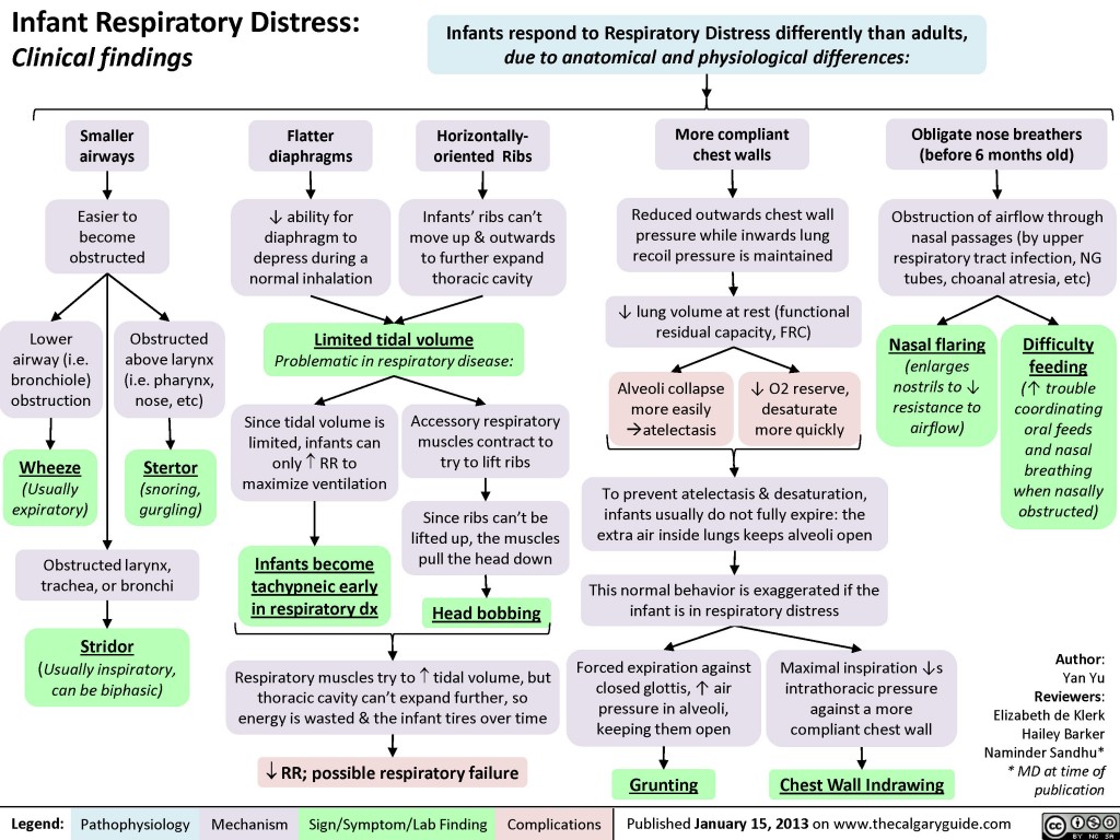 Infant Respiratory Distress: Clinical findings | Calgary Guide