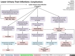 lower-urinary-tract-infections-complications/