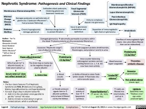 Nephrotic Syndrome: Pathogenesis and Clinical Findings | Calgary Guide