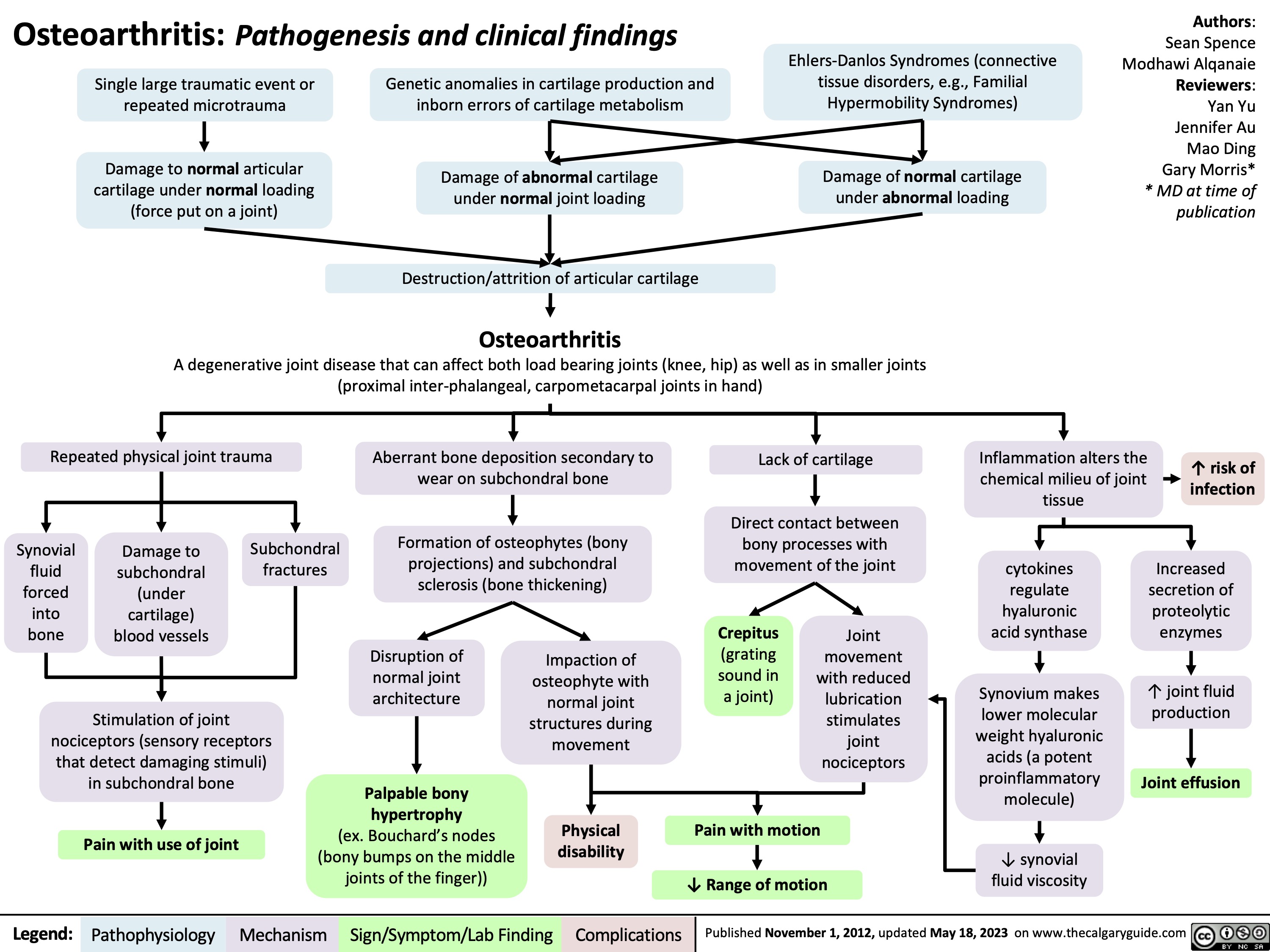 Osteoarthritis: Pathogenesis and clinical findings
Ehlers-Danlos Syndromes (connective tissue disorders, e.g., Familial Hypermobility Syndromes)
Damage of normal cartilage under abnormal loading
Authors: Sean Spence Modhawi Alqanaie Reviewers: Yan Yu Jennifer Au Mao Ding Gary Morris* * MD at time of publication
   Single large traumatic event or repeated microtrauma
Damage to normal articular cartilage under normal loading (force put on a joint)
Genetic anomalies in cartilage production and inborn errors of cartilage metabolism
Damage of abnormal cartilage under normal joint loading
Destruction/attrition of articular cartilage
Osteoarthritis
       A degenerative joint disease that can affect both load bearing joints (knee, hip) as well as in smaller joints (proximal inter-phalangeal, carpometacarpal joints in hand)
       Repeated physical joint trauma
Aberrant bone deposition secondary to wear on subchondral bone
Formation of osteophytes (bony projections) and subchondral sclerosis (bone thickening)
Lack of cartilage
Direct contact between bony processes with movement of the joint
Inflammation alters the chemical milieu of joint tissue
        Synovial fluid forced into bone
Damage to subchondral (under cartilage) blood vessels
Subchondral fractures
cytokines regulate hyaluronic acid synthase
Synovium makes lower molecular weight hyaluronic acids (a potent proinflammatory molecule)
↓ synovial fluid viscosity
↑ risk of infection
Increased secretion of proteolytic enzymes
↑ joint fluid production
Joint effusion
          Disruption of normal joint architecture
Palpable bony hypertrophy
(ex. Bouchard’s nodes (bony bumps on the middle joints of the finger))
Impaction of osteophyte with normal joint structures during movement
Physical disability
Crepitus
(grating sound in a joint)
Joint movement with reduced lubrication stimulates joint nociceptors
    Stimulation of joint nociceptors (sensory receptors that detect damaging stimuli) in subchondral bone
Pain with use of joint
Pain with motion
↓ Range of motion
           Legend:
 Pathophysiology
 Mechanism
Sign/Symptom/Lab Finding
 Complications
 Published November 1, 2012, updated May 18, 2023 on www.thecalgaryguide.com
  