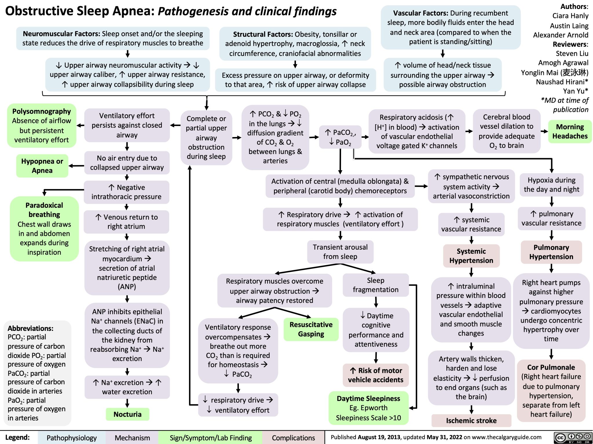 Obstructive Sleep Apnea (OSA) Pathogenesis and Clinical Findings