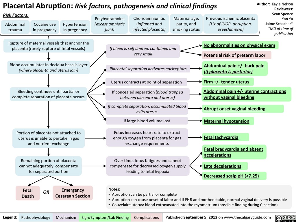 Placental Abruption | Calgary Guide