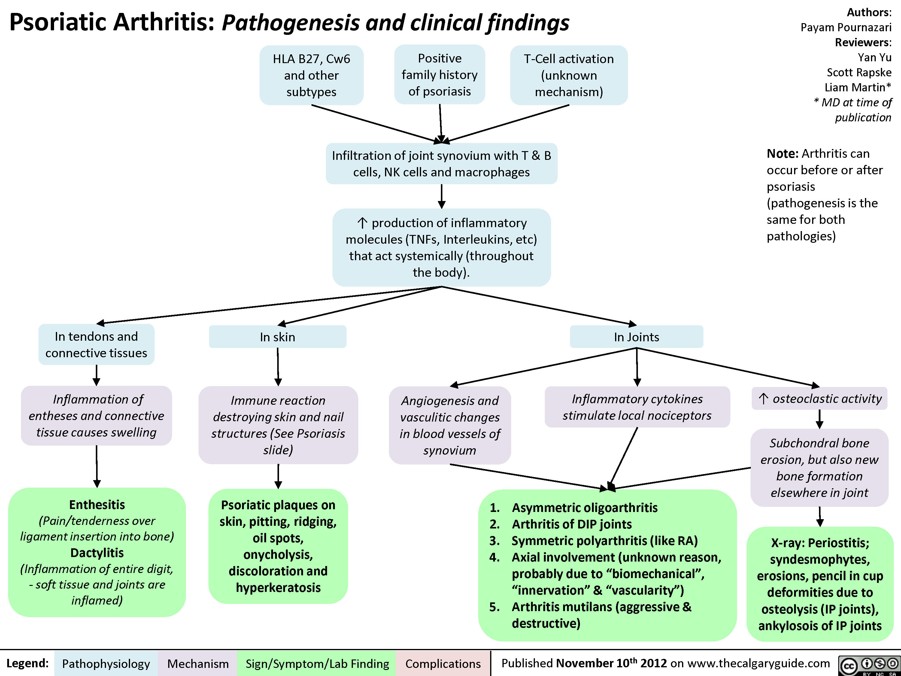 Psoriatic Arthritis Pathogenesis And Clinical Findings Calgary Guide