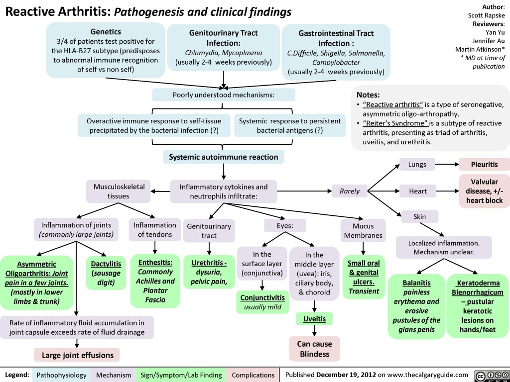 Reactive Arthritis | Calgary Guide