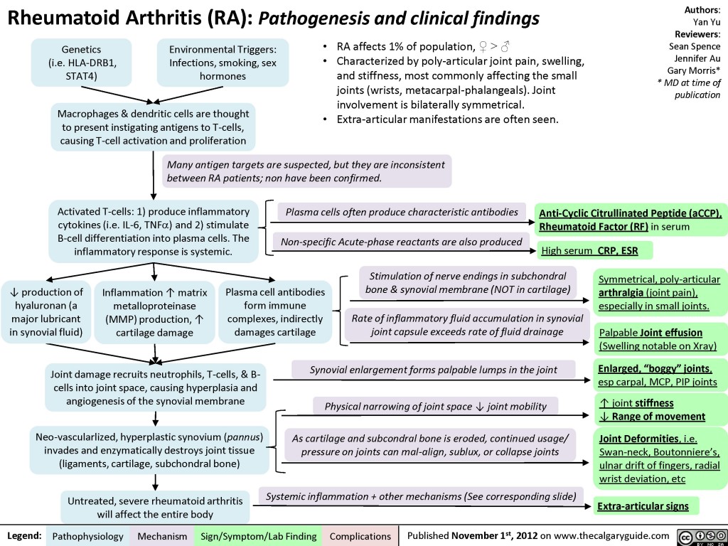 Rheumatoid Arthritis RA Pathogenesis And Joint Diseases Features 