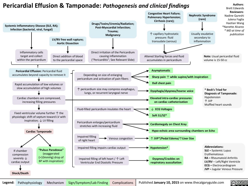 Pericardial Effusion and Tamponade: Pathogenesis and Clinical Findings ...