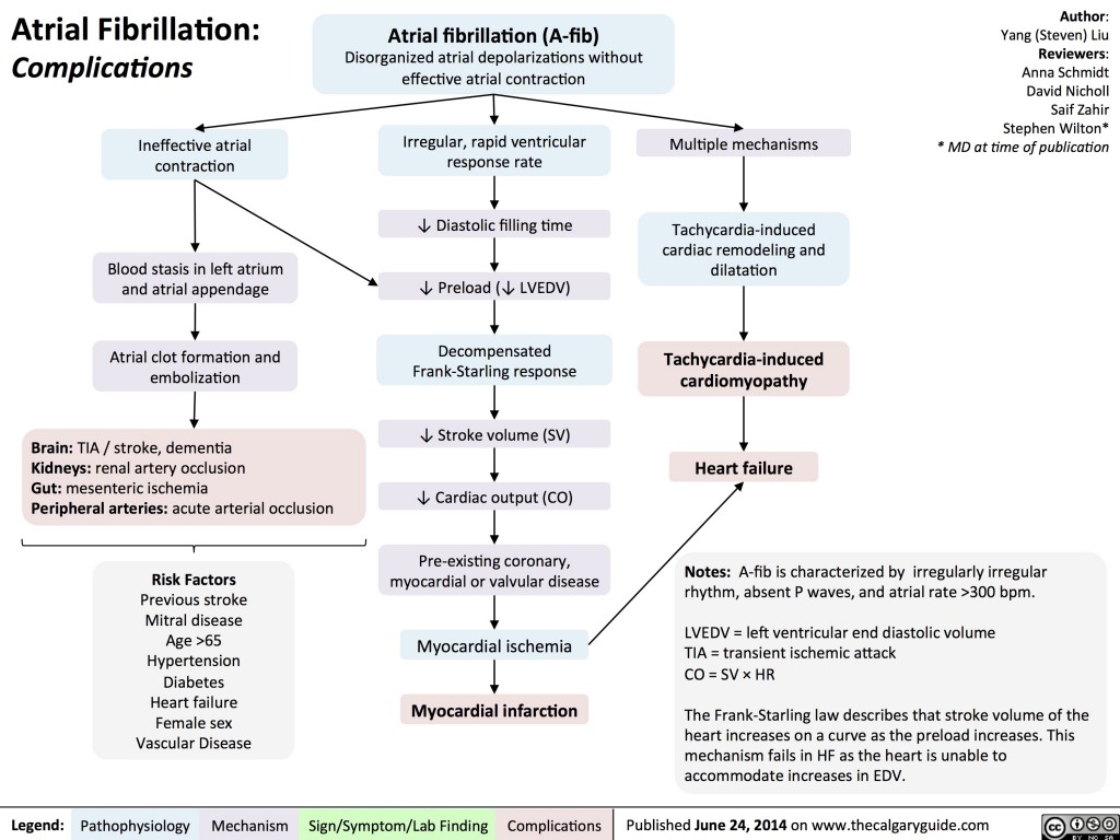 Atrial Fibrillation: Complications | Calgary Guide