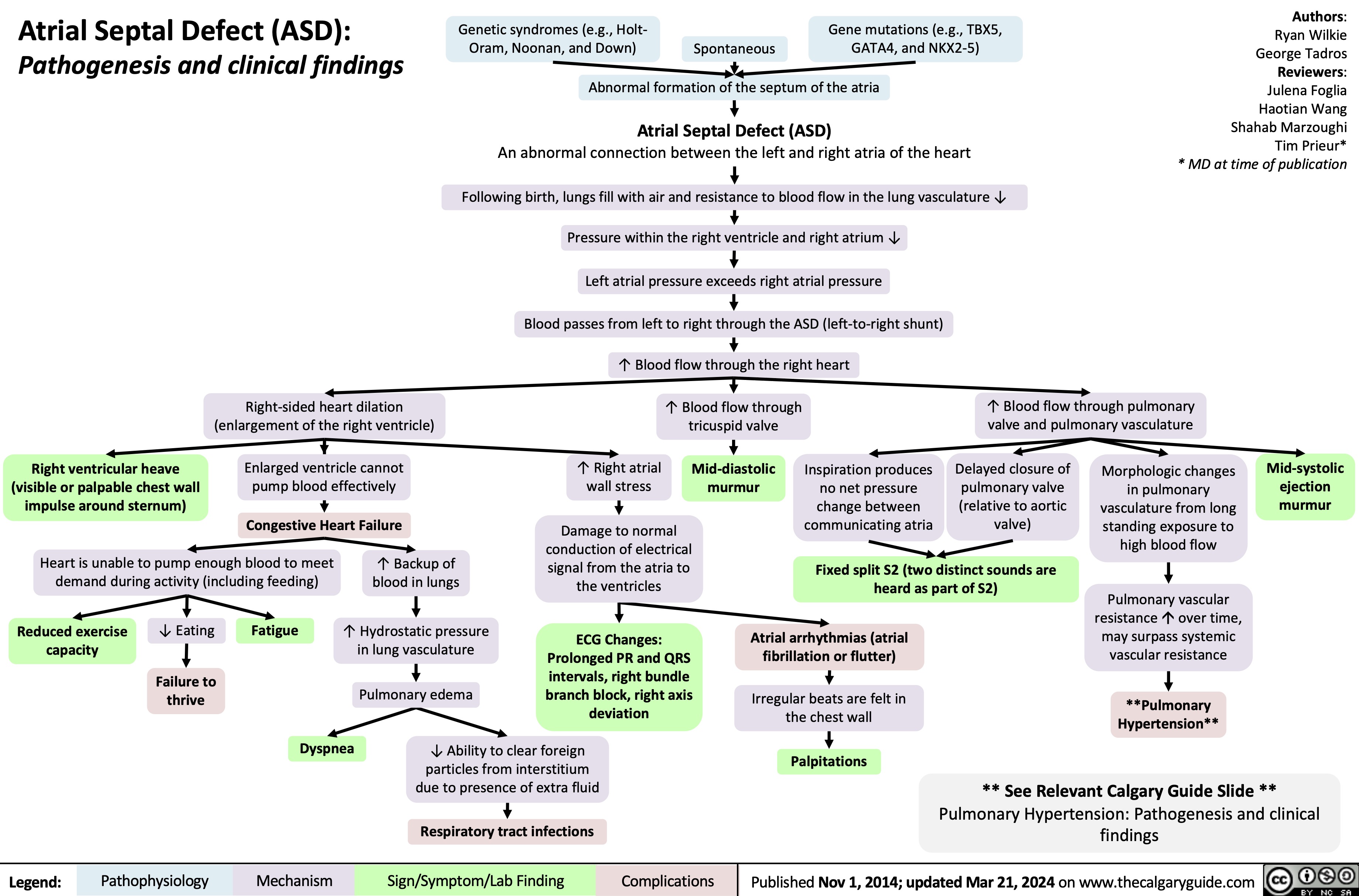 Atrial Septal Defect (ASD):
Pathogenesis and clinical findings
Genetic syndromes (e.g., Holt- Oram, Noonan, and Down)
Gene mutations (e.g., TBX5, GATA4, and NKX2-5)
Authors: Ryan Wilkie George Tadros Reviewers: Julena Foglia Haotian Wang Shahab Marzoughi Tim Prieur* * MD at time of publication
   Spontaneous
Abnormal formation of the septum of the atria
   Atrial Septal Defect (ASD)
An abnormal connection between the left and right atria of the heart
Following birth, lungs fill with air and resistance to blood flow in the lung vasculature ↓ Pressure within the right ventricle and right atrium ↓
Left atrial pressure exceeds right atrial pressure
Blood passes from left to right through the ASD (left-to-right shunt)
↑ Blood flow through the right heart
↑ Blood flow through
tricuspid valve
Mid-diastolic murmur
          Right-sided heart dilation (enlargement of the right ventricle)
Enlarged ventricle cannot pump blood effectively
Congestive Heart Failure
↑ Blood flow through pulmonary valve and pulmonary vasculature
               Right ventricular heave (visible or palpable chest wall impulse around sternum)
↑ Right atrial wall stress
Inspiration produces no net pressure change between communicating atria
Delayed closure of pulmonary valve (relative to aortic valve)
Morphologic changes in pulmonary vasculature from long standing exposure to high blood flow
Pulmonary vascular resistanceáover time, may surpass systemic vascular resistance
**Pulmonary Hypertension**
Mid-systolic ejection murmur
      Heart is unable to pump enough blood to meet demand during activity (including feeding)
↑ Backup of blood in lungs
↑ Hydrostatic pressure in lung vasculature
Pulmonary edema
Damage to normal conduction of electrical signal from the atria to the ventricles
ECG Changes: Prolonged PR and QRS intervals, right bundle branch block, right axis deviation
Fixed split S2 (two distinct sounds are heard as part of S2)
         Reduced exercise capacity
↓ Eating
Failure to thrive
Fatigue
Atrial arrhythmias (atrial fibrillation or flutter)
Irregular beats are felt in the chest wall
Palpitations
          Dyspnea
↓ Ability to clear foreign particles from interstitium due to presence of extra fluid
Respiratory tract infections
  ** See Relevant Calgary Guide Slide **
Pulmonary Hypertension: Pathogenesis and clinical findings
  Legend:
 Pathophysiology
Mechanism
 Sign/Symptom/Lab Finding
 Complications
 Published Nov 1, 2014; updated Mar 21, 2024 on www.thecalgaryguide.com
  