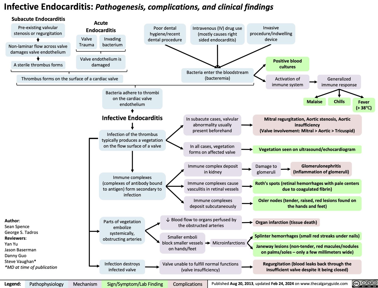 Infective Endocarditis | Calgary Guide