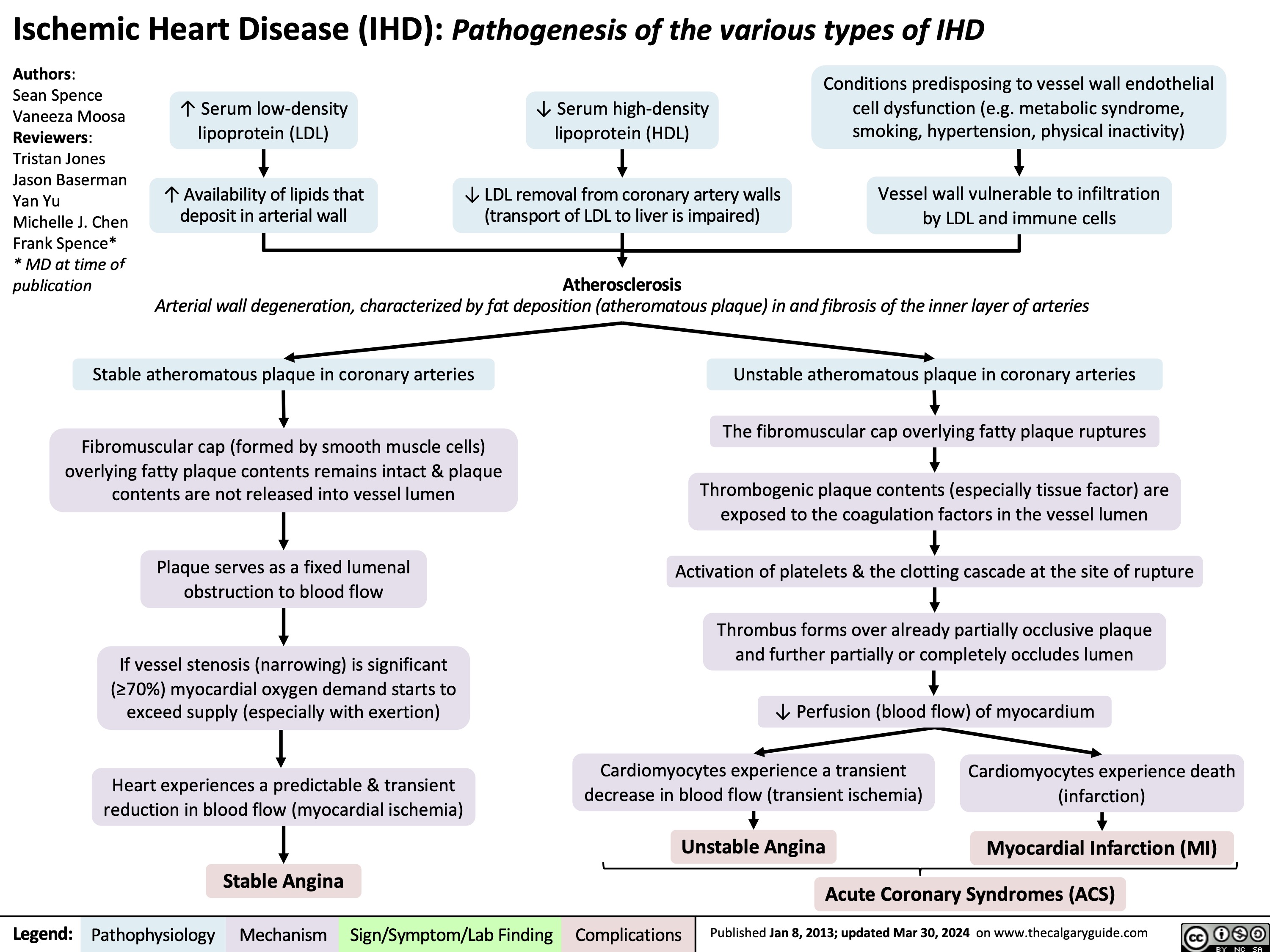 Ischemic Heart Disease (IHD): Pathogenesis of the various types of IHD
Authors:
Sean Spence Vaneeza Moosa Reviewers: Tristan Jones Jason Baserman Yan Yu
Michelle J. Chen Frank Spence* * MD at time of publication
↑ Serum low-density lipoprotein (LDL)
↑ Availability of lipids that deposit in arterial wall
↓ Serum high-density lipoprotein (HDL)
↓ LDL removal from coronary artery walls (transport of LDL to liver is impaired)
Atherosclerosis
Conditions predisposing to vessel wall endothelial cell dysfunction (e.g. metabolic syndrome, smoking, hypertension, physical inactivity)
Vessel wall vulnerable to infiltration by LDL and immune cells
         Arterial wall degeneration, characterized by fat deposition (atheromatous plaque) in and fibrosis of the inner layer of arteries
    Stable atheromatous plaque in coronary arteries
Fibromuscular cap (formed by smooth muscle cells) overlying fatty plaque contents remains intact & plaque contents are not released into vessel lumen
Plaque serves as a fixed lumenal obstruction to blood flow
If vessel stenosis (narrowing) is significant (≥70%) myocardial oxygen demand starts to exceed supply (especially with exertion)
Heart experiences a predictable & transient reduction in blood flow (myocardial ischemia)
Unstable atheromatous plaque in coronary arteries
The fibromuscular cap overlying fatty plaque ruptures
Thrombogenic plaque contents (especially tissue factor) are exposed to the coagulation factors in the vessel lumen
Activation of platelets & the clotting cascade at the site of rupture
Thrombus forms over already partially occlusive plaque and further partially or completely occludes lumen
↓ Perfusion (blood flow) of myocardium
           Cardiomyocytes experience a transient decrease in blood flow (transient ischemia)
Unstable Angina
Cardiomyocytes experience death (infarction)
Myocardial Infarction (MI)
     Stable Angina
Acute Coronary Syndromes (ACS)
  Legend:
 Pathophysiology
 Mechanism
Sign/Symptom/Lab Finding
 Complications
 Published Jan 8, 2013; updated Mar 30, 2024 on www.thecalgaryguide.com
  