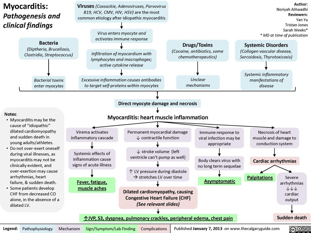 Myocarditis | Calgary Guide