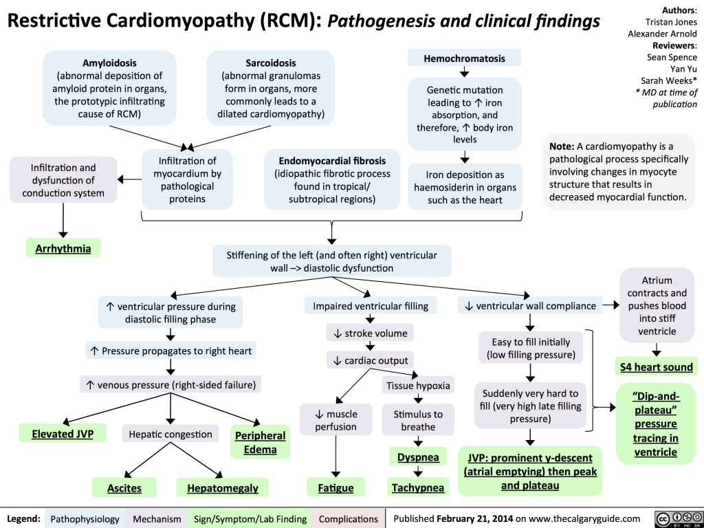 Restrictive Cardiomyopathy Pathogenesis And Clinical Findings Calgary Guide