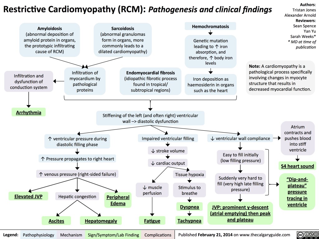 Restrictive Cardiomyopathy: Pathogenesis and Clinical Findings ...