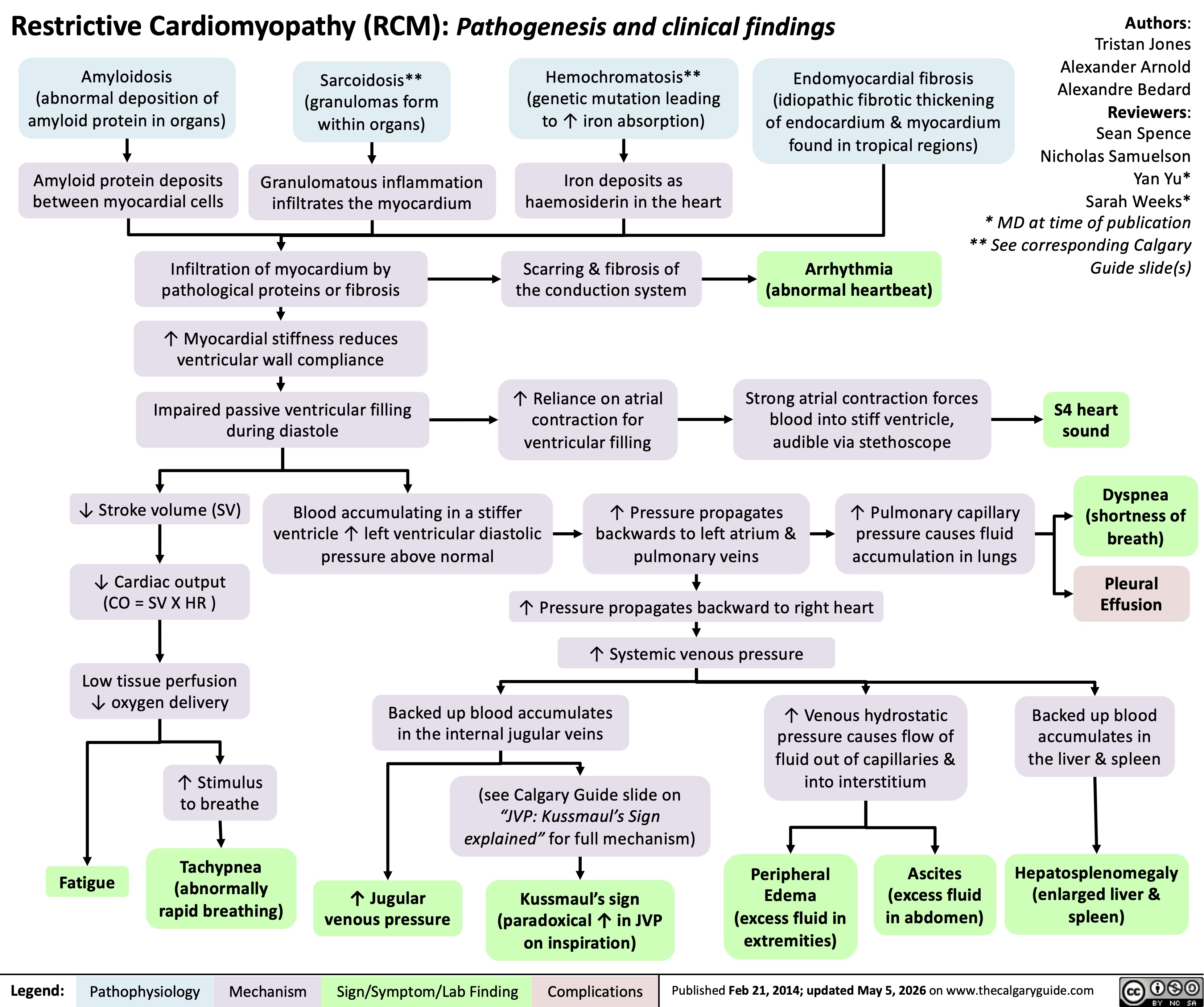 Restrictive Cardiomyopathy (RCM): Pathogenesis and clinical findings Amyloidosis
(abnormal deposition of
amyloid protein in organs)
Sarcoidosis**
(granulomas form
within organs)
Hemochromatosis**
(genetic mutation leading
to ↑ iron absorption)
Amyloid protein deposits
between myocardial cells
Granulomatous inflammation
infiltrates the myocardium
Iron deposits as
haemosiderin in the heart
Infiltration of myocardium by
pathological proteins or fibrosis
Scarring & fibrosis of
the conduction system
↑ Myocardial stiffness reduces
ventricular wall compliance
Impaired passive ventricular filling
during diastole
↓ Stroke volume (SV)
Blood accumulating in a stiffer
ventricle ↑ left ventricular diastolic
pressure above normal
↓ Cardiac output
(CO = SV X HR )
Low tissue perfusion
↓ oxygen delivery
↑ Stimulus
to breathe
Fatigue
Tachypnea
(abnormally
rapid breathing)
↑ Jugular
venous pressure
Endomyocardial fibrosis
(idiopathic fibrotic thickening
of endocardium & myocardium
found in tropical regions)
Authors:
Tristan Jones
Alexander Arnold
Alexandre Bedard
Reviewers:
Sean Spence
Nicholas Samuelson
Yan Yu*
Sarah Weeks*
* MD at time of publication
** See corresponding Calgary
Guide slide(s)
Arrhythmia
(abnormal heartbeat)
Legend: Pathophysiology Mechanism
Sign/Symptom/Lab Finding ↑ Reliance on atrial
contraction for
ventricular filling
Strong atrial contraction forces
blood into stiff ventricle,
audible via stethoscope
S4 heart
sound
↑ Pressure propagates
backwards to left atrium &
pulmonary veins
↑ Pulmonary capillary
pressure causes fluid
accumulation in lungs
Dyspnea
(shortness of
breath)
↑ Pressure propagates backward to right heart
Pleural
Effusion
↑ Systemic venous pressure
Backed up blood accumulates
in the internal jugular veins
↑ Venous hydrostatic
pressure causes flow of
fluid out of capillaries &
into interstitium
Backed up blood
accumulates in
the liver & spleen
(see Calgary Guide slide on
“JVP: Kussmaul’s Sign
explained” for full mechanism)
Kussmaul’s sign
(paradoxical ↑ in JVP
on inspiration)
Peripheral
Edema
(excess fluid in
extremities)
Ascites
(excess fluid
in abdomen)
Hepatosplenomegaly
(enlarged liver &
spleen)
Published Feb 21, 2014; updated May 5, 2026 on www.thecalgaryguide.com
Complications