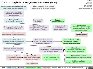 1-and-2-syphilis-pathogenesis-and-clinical-findings