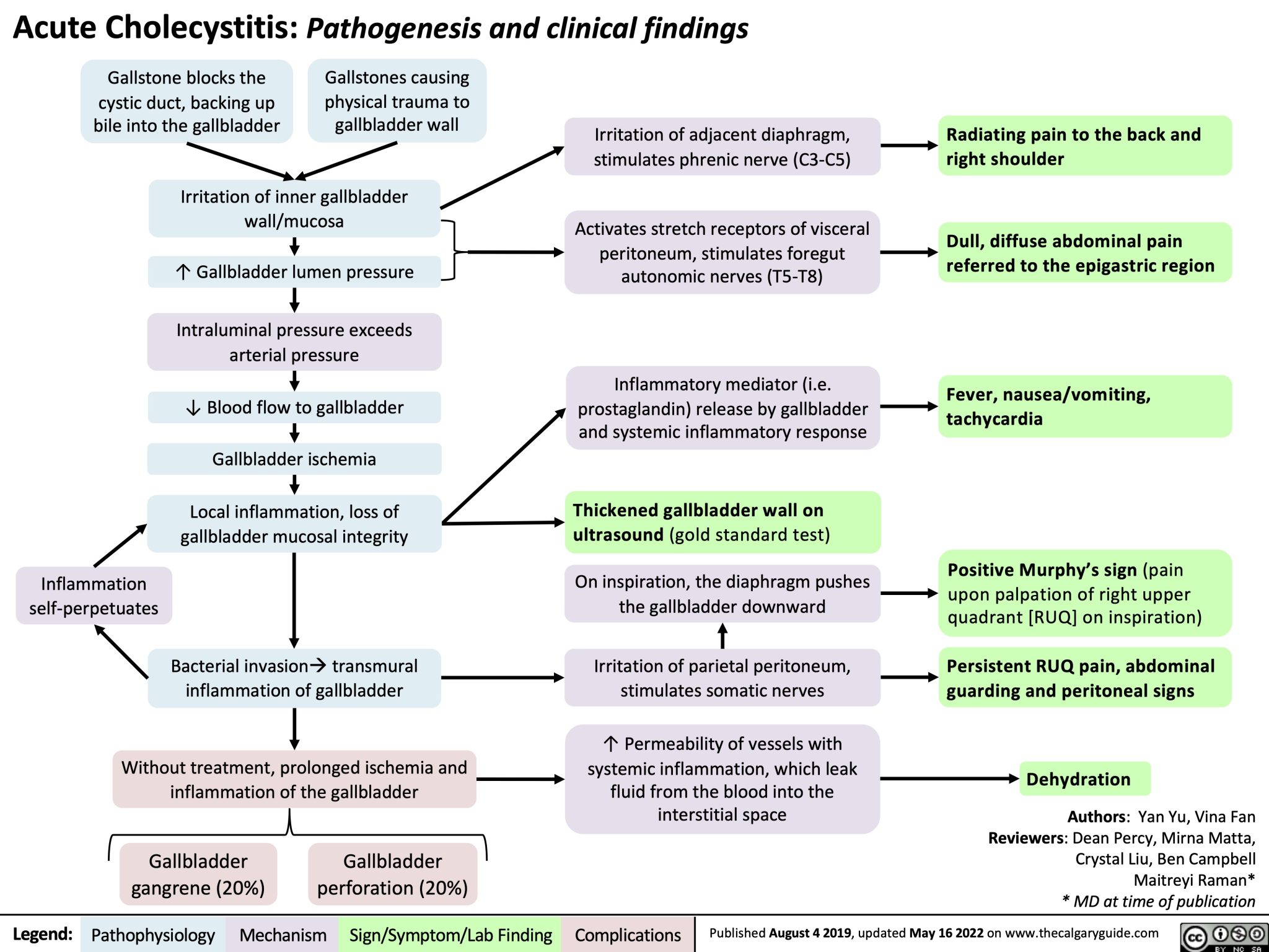 Acute Cholecystitis Calgary Guide