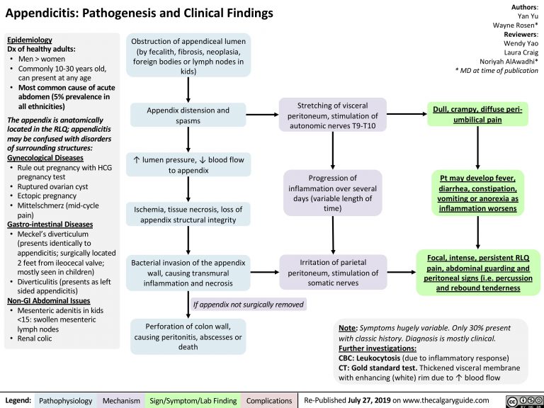 What Is The Pathophysiology Of Acute Appendicitis