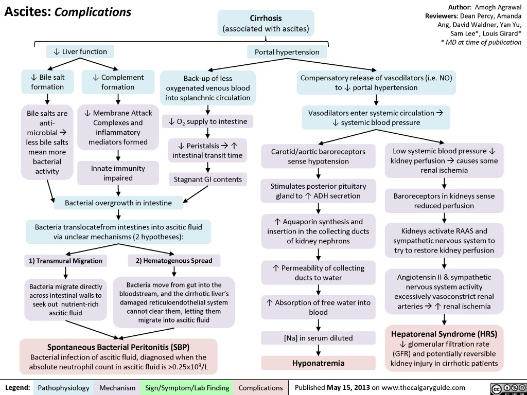 ascites-complications-calgary-guide