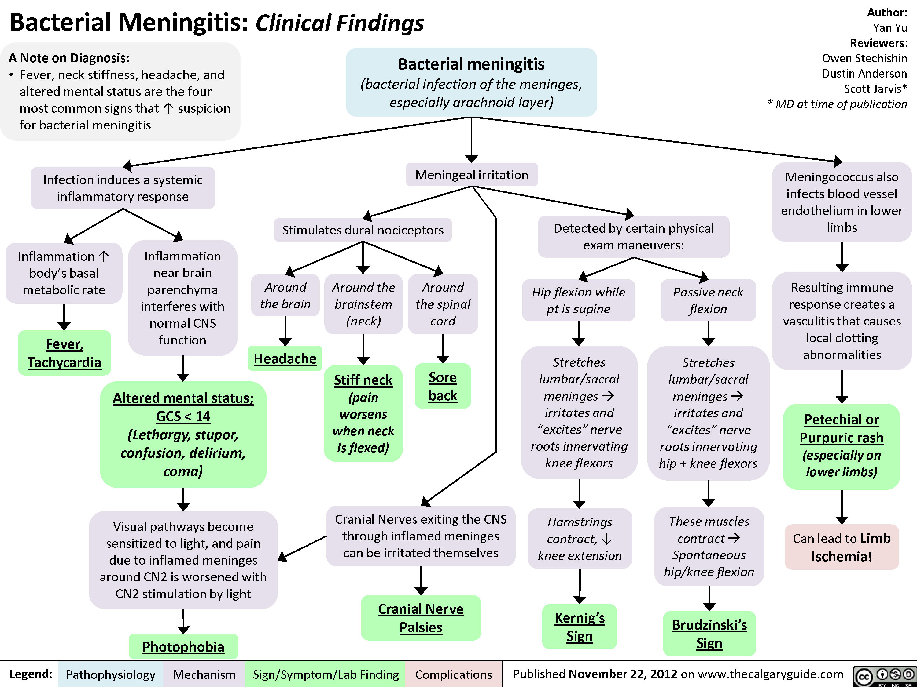 Bacterial Meningitis Clinical Findings Calgary Guide