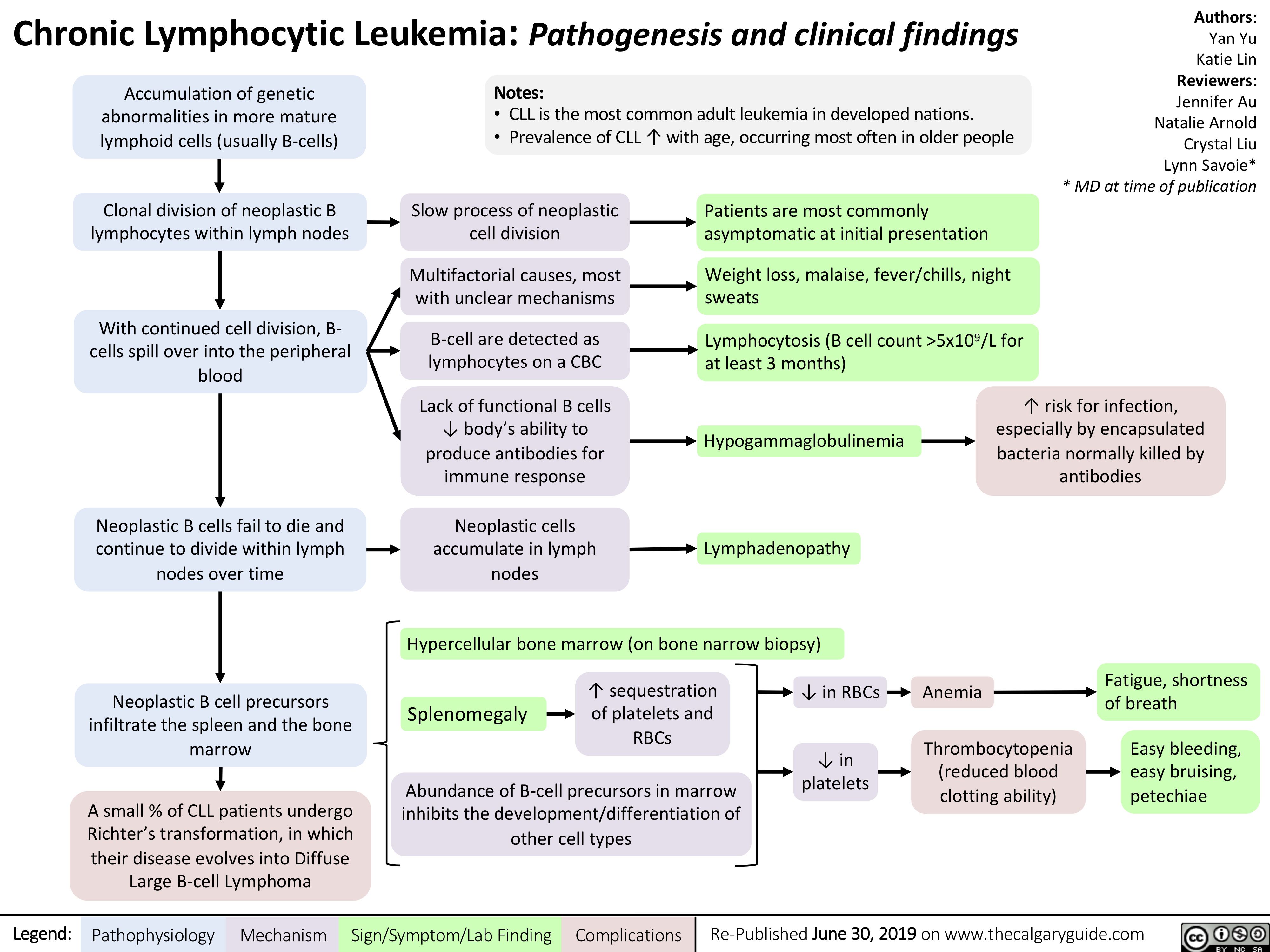 Pathophysiology Of Acute Lymphocytic Leukemia