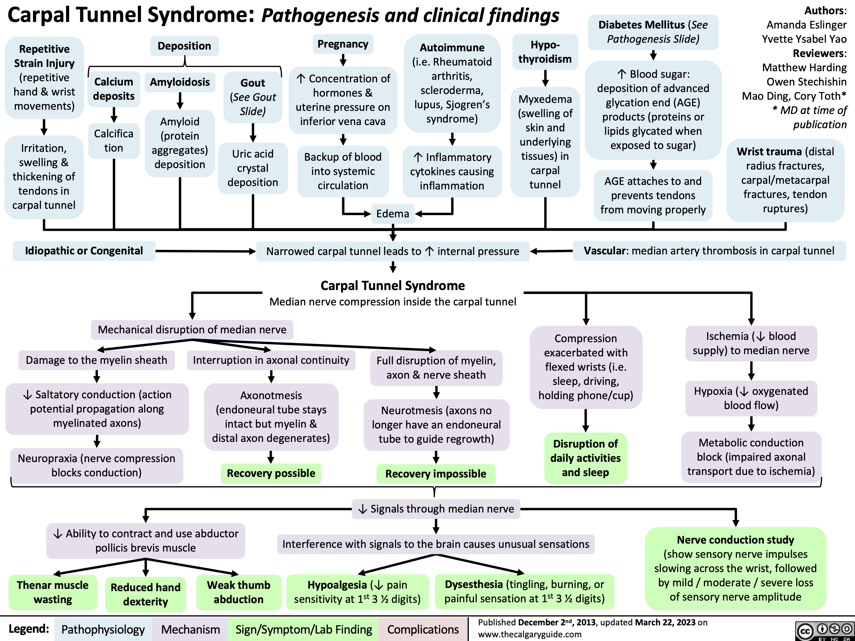 Carpal Tunnel Syndrome: Pathogenesis and clinical findings
Diabetes Mellitus (See Pathogenesis Slide)
↑ Blood sugar: deposition of advanced glycation end (AGE) products (proteins or lipids glycated when exposed to sugar)
AGE attaches to and prevents tendons from moving properly
Authors: Amanda Eslinger Yvette Ysabel Yao Reviewers: Matthew Harding Owen Stechishin Mao Ding, Cory Toth* * MD at time of publication
Wrist trauma (distal radius fractures, carpal/metacarpal fractures, tendon ruptures)
      Repetitive Strain Injury (repetitive hand & wrist movements)
Irritation, swelling & thickening of tendons in carpal tunnel
Calcium deposits
Calcifica tion
Deposition Amyloidosis
Amyloid
(protein aggregates) deposition
Gout
(See Gout Slide)
Uric acid crystal deposition
Pregnancy
↑ Concentration of hormones & uterine pressure on inferior vena cava
Backup of blood into systemic circulation
Autoimmune
(i.e. Rheumatoid arthritis, scleroderma, lupus, Sjogren’s syndrome)
↑ Inflammatory cytokines causing inflammation
Hypo- thyroidism
Myxedema (swelling of skin and underlying tissues) in carpal tunnel
                      Idiopathic or Congenital
Edema
Narrowed carpal tunnel leads to ↑ internal pressure
Carpal Tunnel Syndrome
Vascular: median artery thrombosis in carpal tunnel
    Median nerve compression inside the carpal tunnel Mechanical disruption of median nerve
Compression exacerbated with flexed wrists (i.e. sleep, driving, holding phone/cup)
Disruption of daily activities and sleep
Ischemia (↓ blood supply) to median nerve
Hypoxia (↓ oxygenated blood flow)
Metabolic conduction block (impaired axonal transport due to ischemia)
Nerve conduction study
(show sensory nerve impulses slowing across the wrist, followed by mild / moderate / severe loss of sensory nerve amplitude
       Damage to the myelin sheath
↓ Saltatory conduction (action potential propagation along myelinated axons)
Neuropraxia (nerve compression blocks conduction)
Interruption in axonal continuity
Axonotmesis (endoneural tube stays intact but myelin & distal axon degenerates)
Recovery possible
Full disruption of myelin, axon & nerve sheath
Neurotmesis (axons no longer have an endoneural tube to guide regrowth)
Recovery impossible
               ↓ Ability to contract and use abductor pollicis brevis muscle
↓ Signals through median nerve
Interference with signals to the brain causes unusual sensations
Hypoalgesia (↓ pain Dysesthesia (tingling, burning, or sensitivity at 1st 3 1⁄2 digits) painful sensation at 1st 3 1⁄2 digits)
           Thenar muscle wasting
Reduced hand dexterity
Weak thumb abduction
 Legend:
 Pathophysiology
 Mechanism
Sign/Symptom/Lab Finding
 Complications
Published December 2nd, 2013, updated March 22, 2023 on www.thecalgaryguide.com
   
