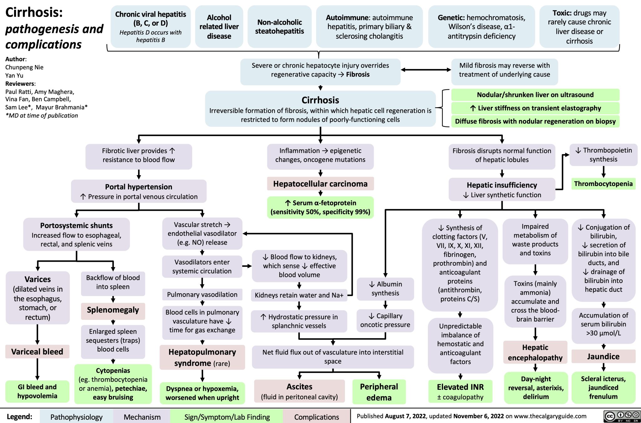 cirrhosis-pathogenesis-and-complications-calgary-guide