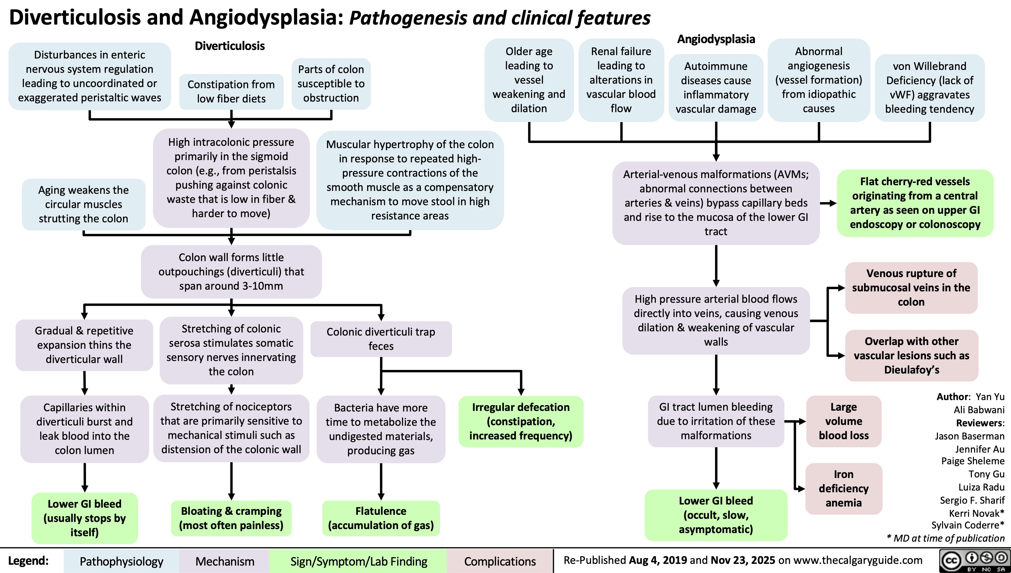 Diverticulosis and Angiodysplasia: Pathogenesis and clinical features
Diverticulosis Angiodysplasia
Disturbances in enteric
nervous system regulation
leading to uncoordinated or
exaggerated peristaltic waves
Older age
Renal failure
Constipation from
low fiber diets
Parts of colon
susceptible to
obstruction
leading to
leading to
vessel
alterations in
weakening and
vascular blood
dilation
flow
Autoimmune
diseases cause
inflammatory
vascular damage
Abnormal
angiogenesis
(vessel formation)
from idiopathic
causes
von Willebrand
Deficiency (lack of
vWF) aggravates
bleeding tendency
Aging weakens the
circular muscles
strutting the colon
High intracolonic pressure
primarily in the sigmoid
colon (e.g., from peristalsis
pushing against colonic
waste that is low in fiber &
harder to move)
Muscular hypertrophy of the colon
in response to repeated high-
pressure contractions of the
smooth muscle as a compensatory
mechanism to move stool in high
resistance areas
Arterial-venous malformations (AVMs;
abnormal connections between
arteries & veins) bypass capillary beds
and rise to the mucosa of the lower GI
tract
Flat cherry-red vessels
originating from a central
artery as seen on upper GI
endoscopy or colonoscopy
Colon wall forms little
outpouchings (diverticuli) that
span around 3-10mm
Gradual & repetitive
expansion thins the
diverticular wall
Stretching of colonic
serosa stimulates somatic
sensory nerves innervating
the colon
Colonic diverticuli trap
feces
Venous rupture of
submucosal veins in the
High pressure arterial blood flows
colon
directly into veins, causing venous
dilation & weakening of vascular
walls
Overlap with other
vascular lesions such as
Dieulafoy’s
Capillaries within
diverticuli burst and
leak blood into the
colon lumen
Stretching of nociceptors
that are primarily sensitive to
mechanical stimuli such as
distension of the colonic wall
Bacteria have more
time to metabolize the
undigested materials,
producing gas
Irregular defecation
(constipation,
increased frequency)
GI tract lumen bleeding
due to irritation of these
malformations
Large
volume
blood loss
Iron
deficiency
anemia
Lower GI bleed
(usually stops by
itself)
Bloating & cramping
(most often painless)
Flatulence
(accumulation of gas)
Lower GI bleed
(occult, slow,
asymptomatic)
Author: Yan Yu
Ali Babwani
Reviewers:
Jason Baserman
Jennifer Au
Paige Sheleme
Tony Gu
Luiza Radu
Sergio F. Sharif
Kerri Novak*
Sylvain Coderre*
* MD at time of publication
Legend: Re-Published Aug 4, 2019 and Nov 23, 2025 on www.thecalgaryguide.com
Pathophysiology Mechanism
Sign/Symptom/Lab Finding Complications