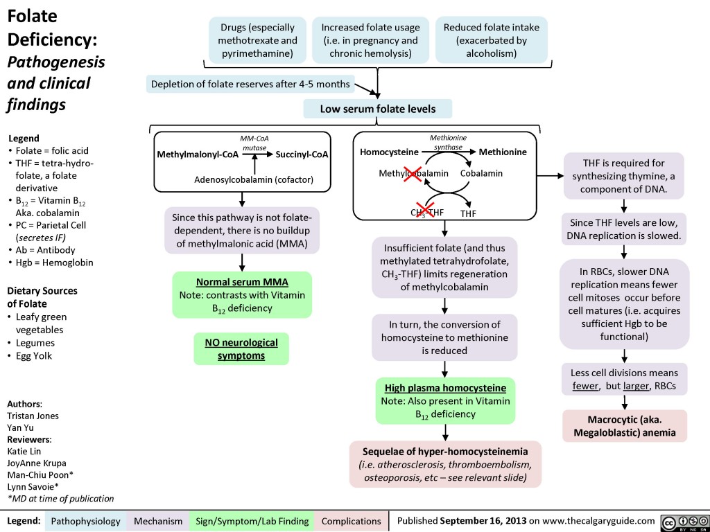 folate-deficiency-calgary-guide