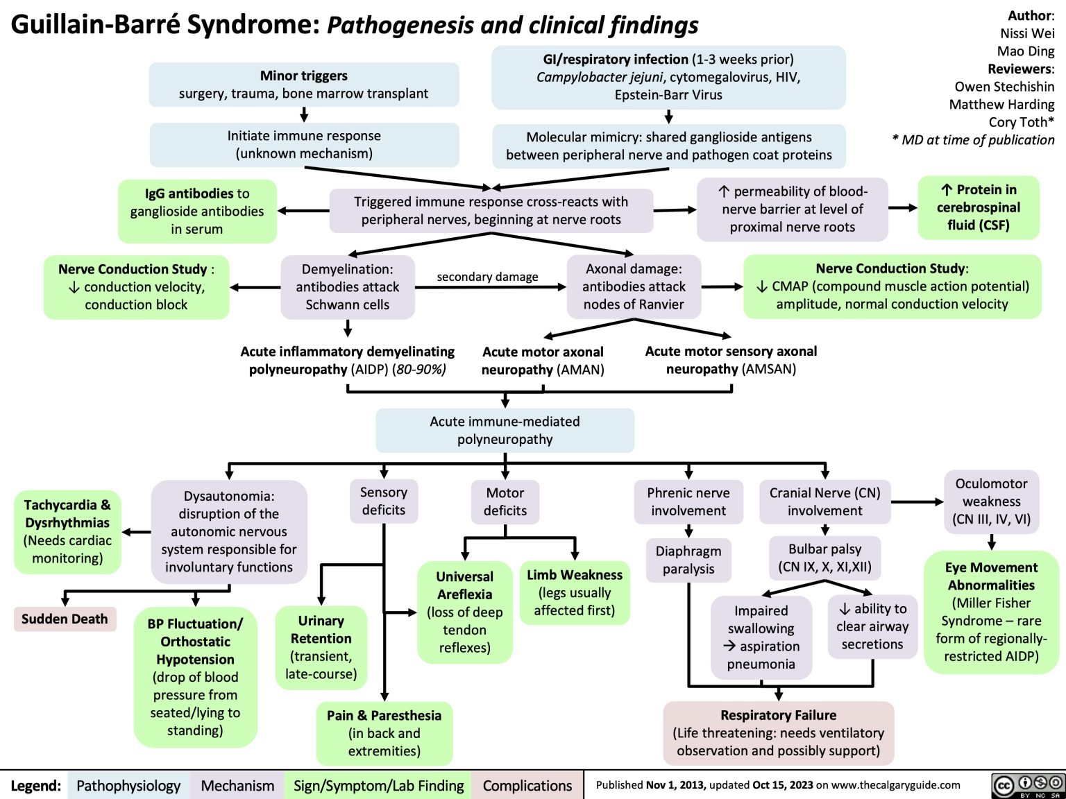 Guillain-Barré Syndrome | Calgary Guide