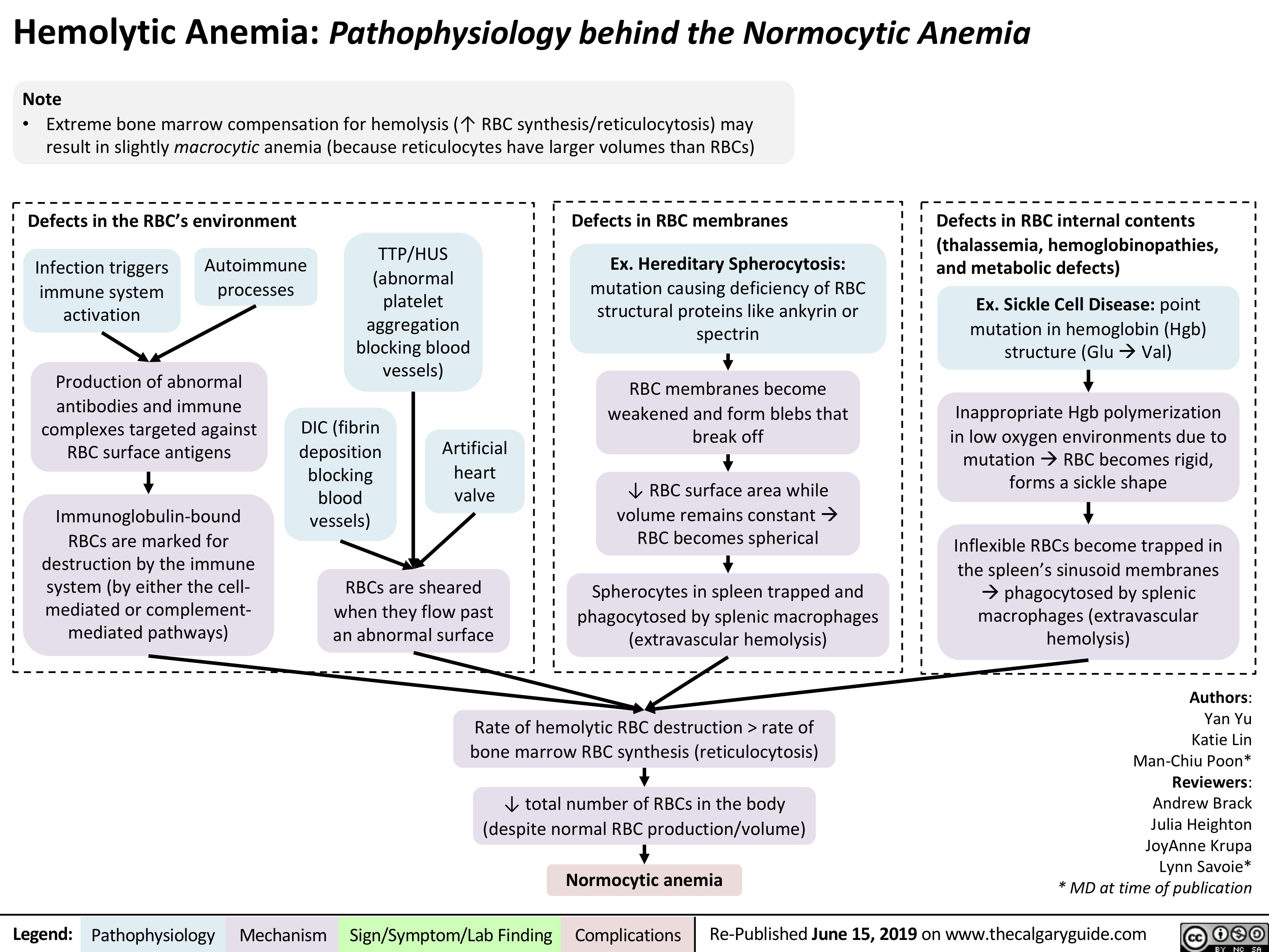 hemolytic-anemia-pathophysiology-calgary-guide