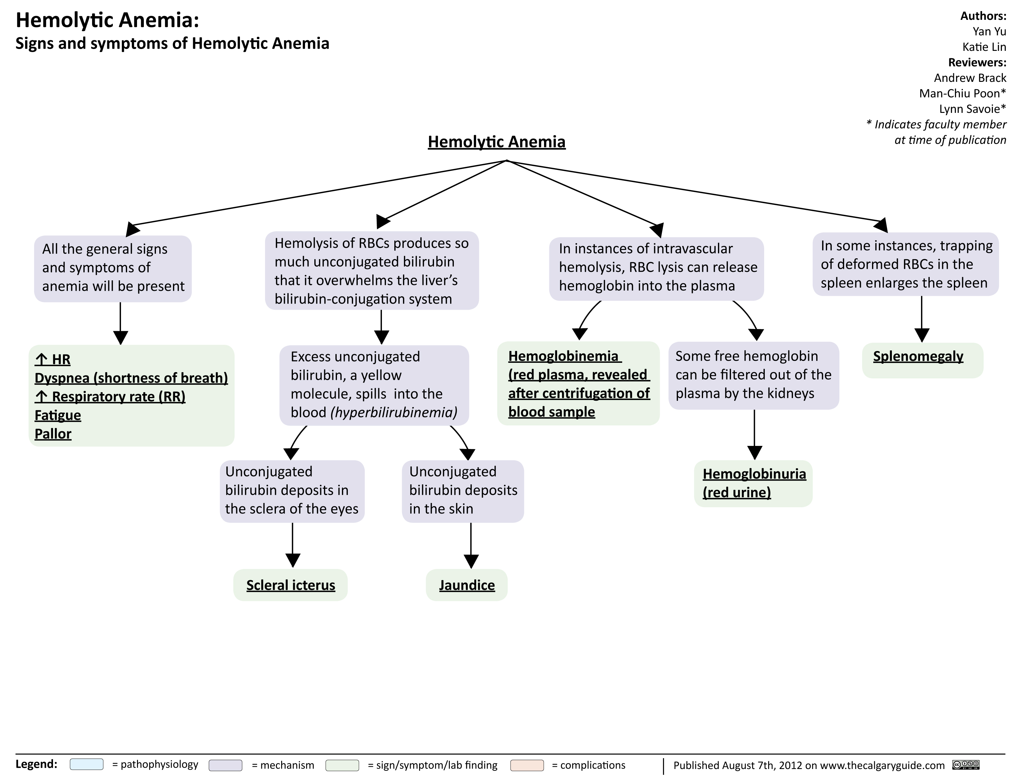 Hemolytic Anemia Signs And Symptoms Calgary Guide