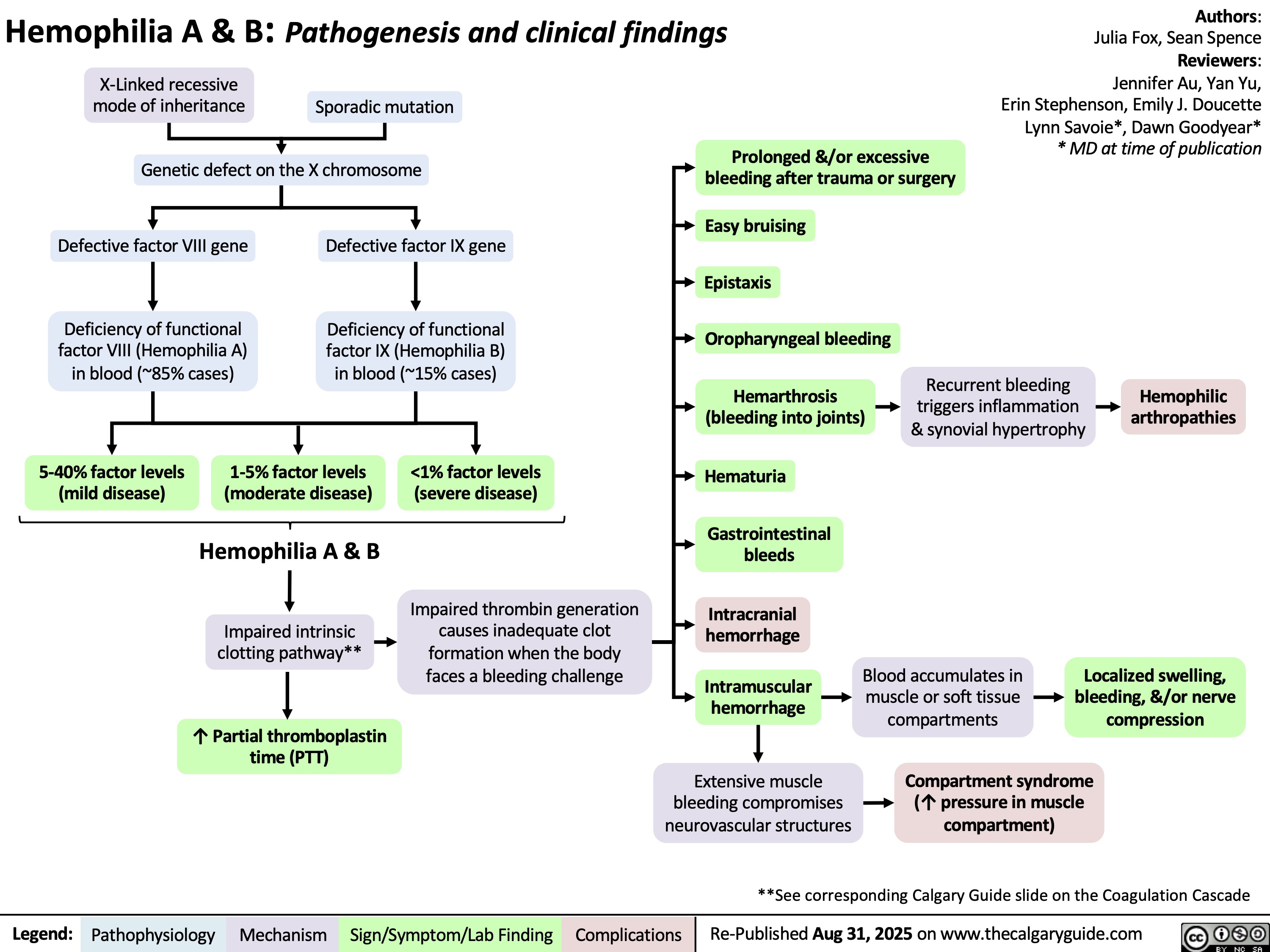 Hemophilia A & B: Pathogenesis and clinical findings
X-Linked recessive
mode of inheritance
Sporadic mutation
Genetic defect on the X chromosome
Authors:
Julia Fox, Sean Spence
Reviewers:
Jennifer Au, Yan Yu,
Erin Stephenson, Emily J. Doucette
Lynn Savoie*, Dawn Goodyear*
* MD at time of publication
Defective factor VIII gene Defective factor IX gene
Deficiency of functional
factor VIII (Hemophilia A)
in blood (~85% cases)
Deficiency of functional
factor IX (Hemophilia B)
in blood (~15% cases)
5-40% factor levels
(mild disease)
1-5% factor levels
(moderate disease)
Hemophilia A & B
<1% factor levels
(severe disease)
Impaired intrinsic
clotting pathway**
Impaired thrombin generation
causes inadequate clot
formation when the body
faces a bleeding challenge
↑ Partial thromboplastin
time (PTT)
Prolonged &/or excessive
bleeding after trauma or surgery
Easy bruising
Epistaxis
Oropharyngeal bleeding
Hemarthrosis
(bleeding into joints)
Hematuria
Gastrointestinal
bleeds
Intracranial
hemorrhage
Intramuscular
hemorrhage
Extensive muscle
bleeding compromises
neurovascular structures
Recurrent bleeding
triggers inflammation
& synovial hypertrophy
Hemophilic
arthropathies
Blood accumulates in
muscle or soft tissue
compartments
Compartment syndrome
(↑ pressure in muscle
compartment)
Localized swelling,
bleeding, &/or nerve
compression
Legend: Pathophysiology Mechanism
Sign/Symptom/Lab Finding Complications
**See corresponding Calgary Guide slide on the Coagulation Cascade
Re-Published Aug 31, 2025 on www.thecalgaryguide.com