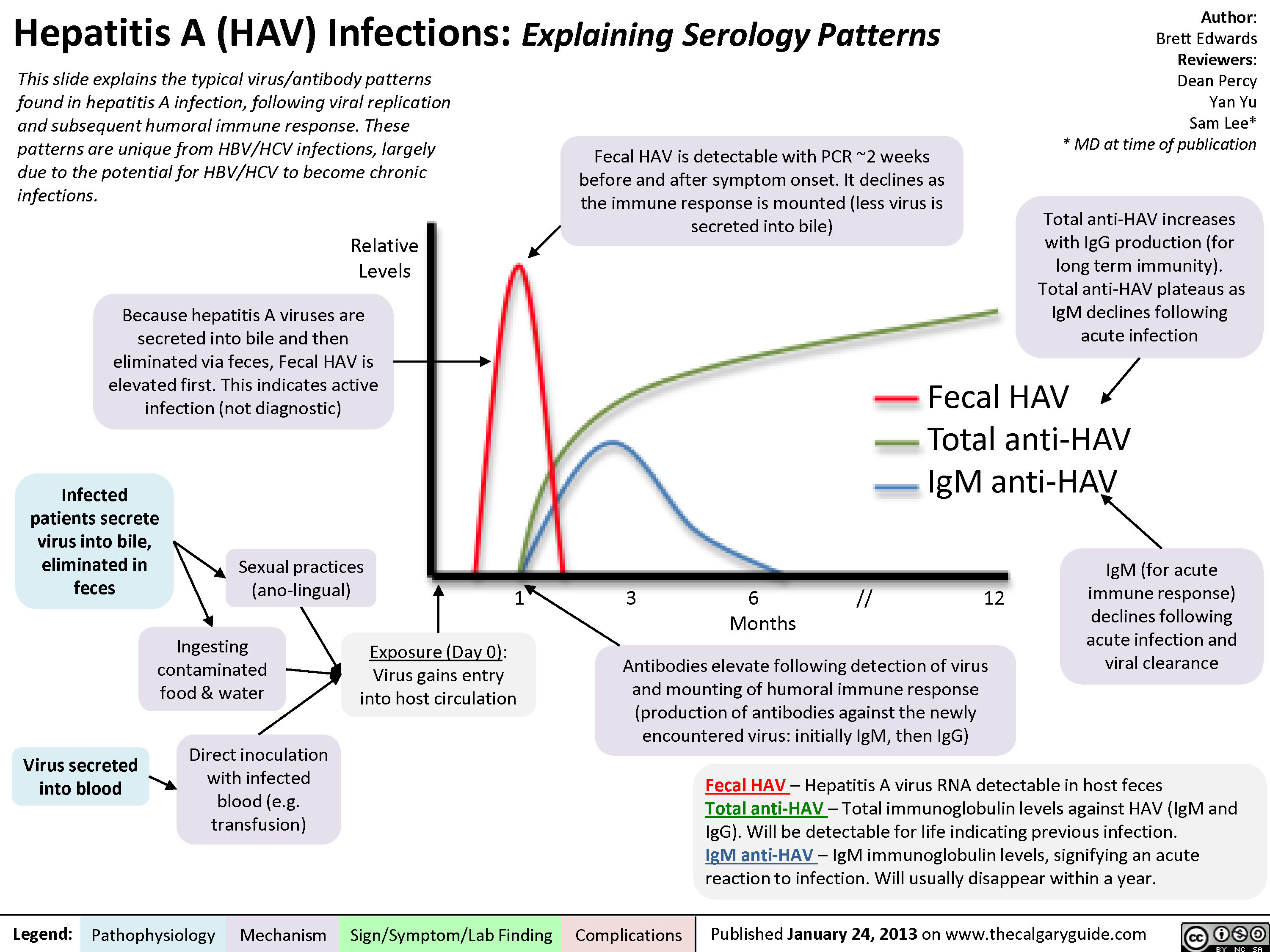 HAV Serology | Calgary Guide