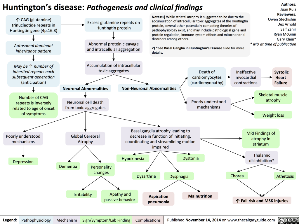 Huntington's Disease: Pathogenesis and Clinical Findings | Calgary Guide