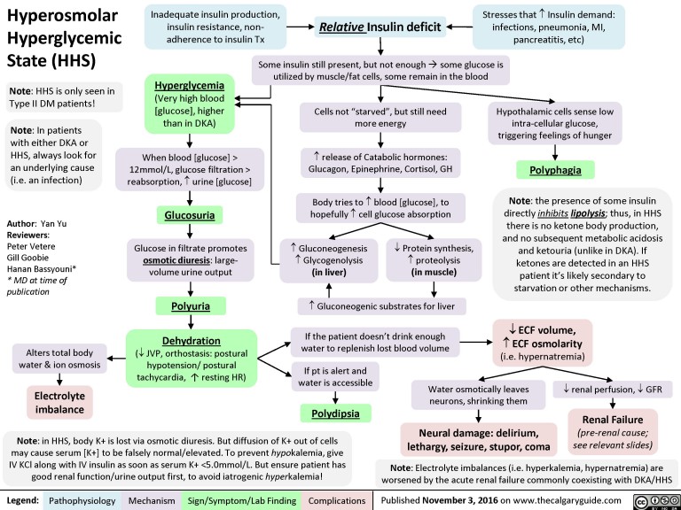 Hyperosmolar Hyperglycemic State (HHS) | Calgary Guide