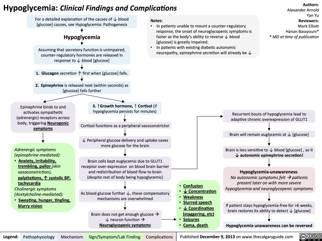 Hypoglycemia: Clinical Findings and Complications | Calgary Guide