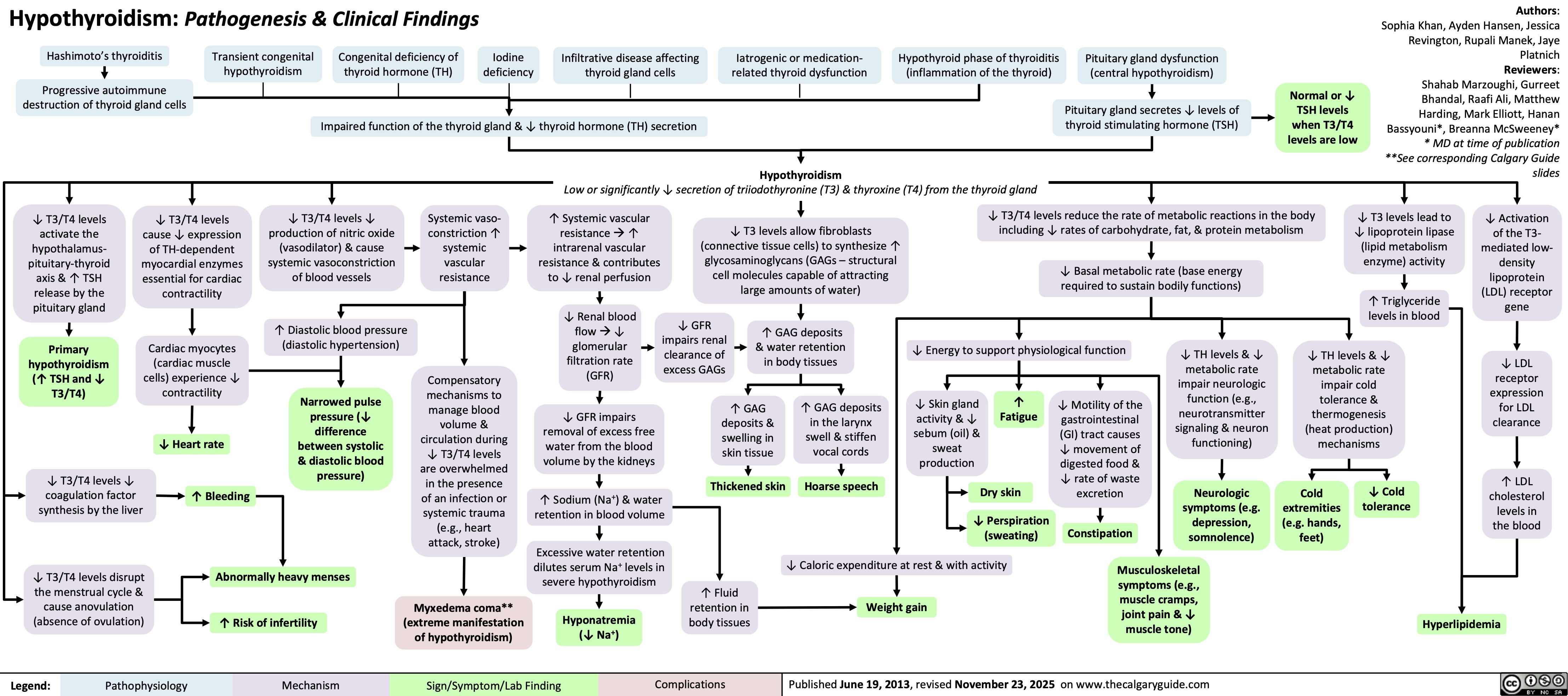 Hypothyroidism: Pathogenesis & Clinical Findings Hashimoto’s thyroiditis
Transient congenital
hypothyroidism
Congenital deficiency of
thyroid hormone (TH)
Iodine
deficiency
Infiltrative disease affecting
thyroid gland cells
Iatrogenic or medication-
related thyroid dysfunction
Hypothyroid phase of thyroiditis
(inflammation of the thyroid)
Pituitary gland dysfunction
(central hypothyroidism)
Progressive autoimmune
destruction of thyroid gland cells
↓ T3/T4 levels
activate the
hypothalamus-
pituitary-thyroid
axis & ↑ TSH
release by the
pituitary gland
Primary
hypothyroidism
(↑ TSH and ↓
T3/T4)
↓ T3/T4 levels
cause ↓ expression
of TH-dependent
myocardial enzymes
essential for cardiac
contractility
Cardiac myocytes
(cardiac muscle
cells) experience ↓
contractility
↓ Heart rate
↑ Bleeding
Impaired function of the thyroid gland & ↓ thyroid hormone (TH) secretion
Pituitary gland secretes ↓ levels of
thyroid stimulating hormone (TSH)
Hypothyroidism
Low or significantly ↓ secretion of triiodothyronine (T3) & thyroxine (T4) from the thyroid gland
↓ T3/T4 levels ↓
production of nitric oxide
(vasodilator) & cause
systemic vasoconstriction
of blood vessels
Systemic vaso-
constriction ↑
systemic
vascular
resistance
↑ Systemic vascular
resistance à ↑
intrarenal vascular
resistance & contributes
to ↓ renal perfusion
↓ T3/T4 levels reduce the rate of metabolic reactions in the body
including ↓ rates of carbohydrate, fat, & protein metabolism
↓ T3 levels allow fibroblasts
(connective tissue cells) to synthesize ↑
glycosaminoglycans (GAGs – structural
cell molecules capable of attracting
large amounts of water)
↓ Basal metabolic rate (base energy
required to sustain bodily functions)
↑ Diastolic blood pressure
(diastolic hypertension)
↓ Renal blood
flow à ↓
glomerular
filtration rate
(GFR)
↓ GFR
impairs renal
clearance of
excess GAGs
↑ GAG deposits
& water retention
in body tissues
↓ Energy to support physiological function
Narrowed pulse
pressure (↓
difference
between systolic
& diastolic blood
pressure)
Compensatory
mechanisms to
manage blood
volume &
circulation during
↓ T3/T4 levels
are overwhelmed
in the presence
of an infection or
systemic trauma
(e.g., heart
attack, stroke)
↓ GFR impairs
removal of excess free
water from the blood
volume by the kidneys
↑ GAG
deposits &
swelling in
skin tissue
↑ GAG deposits
in the larynx
swell & stiffen
vocal cords
↓ Skin gland
activity & ↓
sebum (oil) &
sweat
production
↑
Fatigue
↓ Motility of the
gastrointestinal
(GI) tract causes
↓ movement of
digested food &
↓ rate of waste
excretion
↓ TH levels & ↓
metabolic rate
impair neurologic
function (e.g.,
neurotransmitter
signaling & neuron
functioning)
Thickened skin
Hoarse speech
Dry skin
↑ Sodium (Na+) & water
retention in blood volume
↓ Perspiration
(sweating)
Constipation
Neurologic
symptoms (e.g.
depression,
somnolence)
Abnormally heavy menses
Excessive water retention
dilutes serum Na+ levels in
severe hypothyroidism
↓ Caloric expenditure at rest & with activity
↑ Risk of infertility
Myxedema coma**
(extreme manifestation
of hypothyroidism)
Hyponatremia
(↓ Na+)
↑ Fluid
retention in
body tissues
Weight gain
Musculoskeletal
symptoms (e.g.,
muscle cramps,
joint pain & ↓
muscle tone)
Published June 19, 2013, revised November 23, 2025 on www.thecalgaryguide.com
Normal or ↓
TSH levels
when T3/T4
levels are low
Authors:
Sophia Khan, Ayden Hansen, Jessica
Revington, Rupali Manek, Jaye
Platnich
Reviewers:
Shahab Marzoughi, Gurreet
Bhandal, Raafi Ali, Matthew
Harding, Mark Elliott, Hanan
Bassyouni*, Breanna McSweeney*
* MD at time of publication
**See corresponding Calgary Guide
slides
↓ T3 levels lead to
↓ lipoprotein lipase
(lipid metabolism
enzyme) activity
↑ Triglyceride
levels in blood
↓ TH levels & ↓
metabolic rate
impair cold
tolerance &
thermogenesis
(heat production)
mechanisms
Cold
extremities
(e.g. hands,
feet)
↓ Cold
tolerance
↓ Activation
of the T3-
mediated low-
density
lipoprotein
(LDL) receptor
gene
↓ LDL
receptor
expression
for LDL
clearance
↑ LDL
cholesterol
levels in
the blood
↓ T3/T4 levels ↓
coagulation factor
synthesis by the liver
↓ T3/T4 levels disrupt
the menstrual cycle &
cause anovulation
(absence of ovulation)
Legend: Hyperlipidemia
Pathophysiology Mechanism
Sign/Symptom/Lab Finding Complications