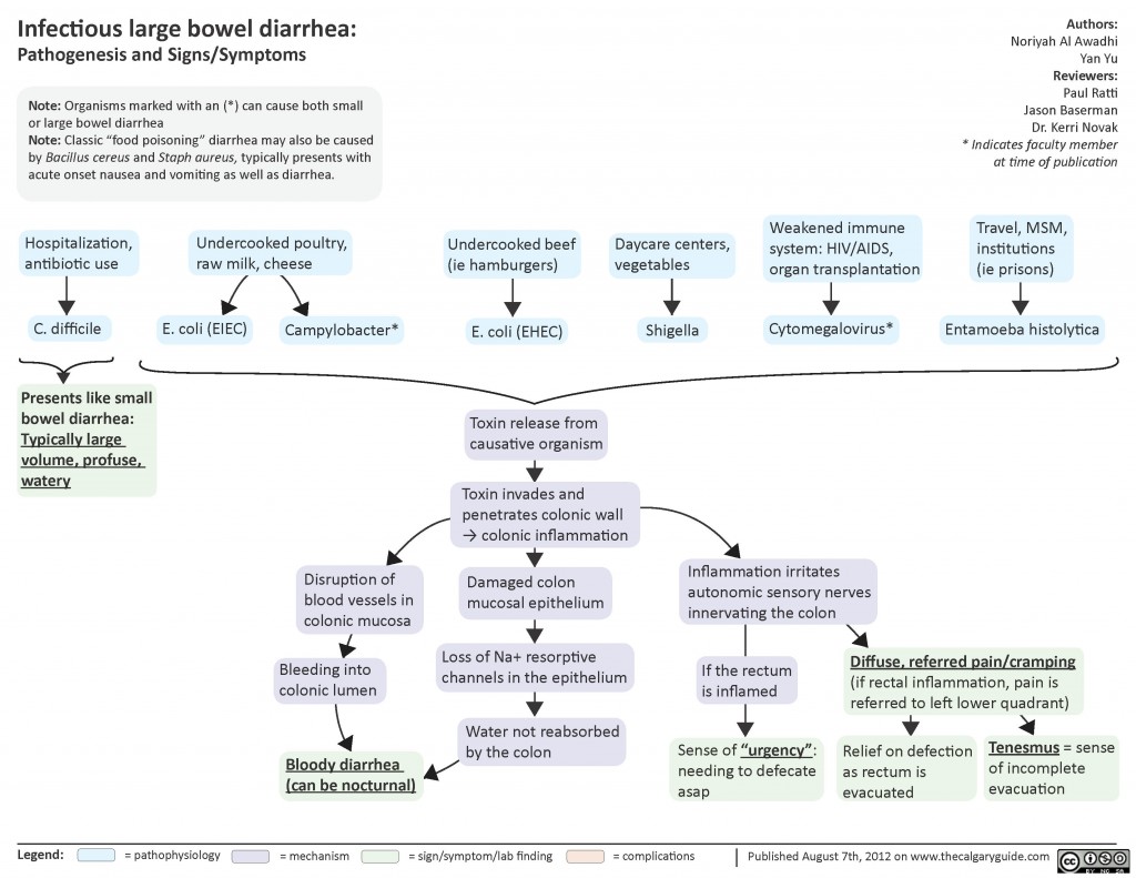 Infectious Large Bowel Diarrhea | Calgary Guide