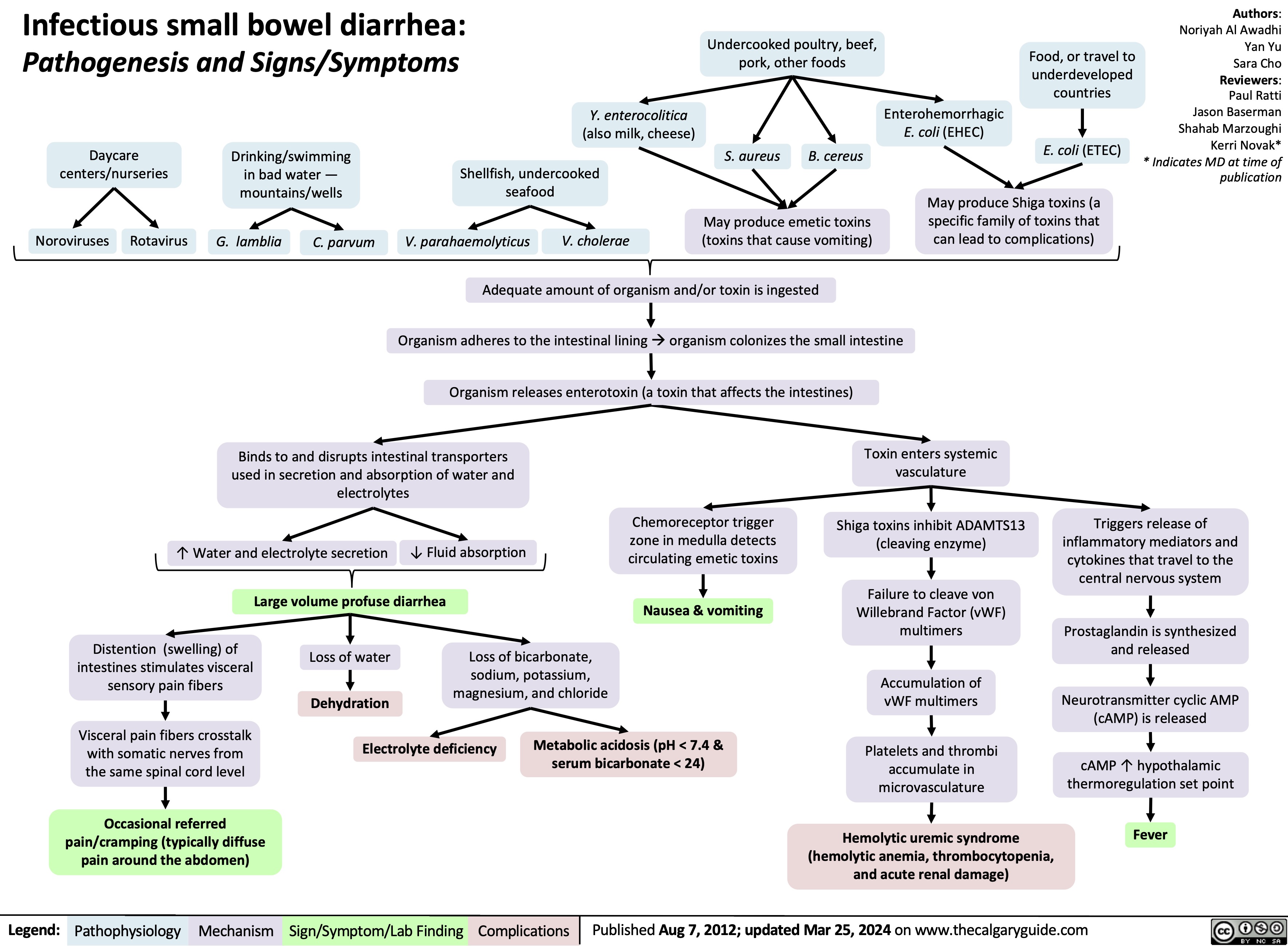 Infectious small bowel diarrhea:
Pathogenesis and Signs/Symptoms
Undercooked poultry, beef, pork, other foods
Food, or travel to underdeveloped countries
E. coli (ETEC)
May produce Shiga toxins (a specific family of toxins that can lead to complications)
Authors: Noriyah Al Awadhi Yan Yu Sara Cho Reviewers: Paul Ratti Jason Baserman Shahab Marzoughi Kerri Novak* * Indicates MD at time of publication
      Y. enterocolitica
(also milk, cheese)
Shellfish, undercooked seafood
V. parahaemolyticus V. cholerae
Enterohemorrhagic E. coli (EHEC)
      Daycare centers/nurseries
Drinking/swimming in bad water — mountains/wells
S. aureus
B. cereus
            Noroviruses
Rotavirus
G. lamblia
C. parvum
May produce emetic toxins (toxins that cause vomiting)
  Adequate amount of organism and/or toxin is ingested
Organism adheres to the intestinal liningàorganism colonizes the small intestine Organism releases enterotoxin (a toxin that affects the intestines)
      Binds to and disrupts intestinal transporters used in secretion and absorption of water and electrolytes
Toxin enters systemic vasculature
Shiga toxins inhibit ADAMTS13 (cleaving enzyme)
Failure to cleave von Willebrand Factor (vWF) multimers
Accumulation of vWF multimers
Platelets and thrombi accumulate in microvasculature
Hemolytic uremic syndrome (hemolytic anemia, thrombocytopenia, and acute renal damage)
         ↑ Water and electrolyte secretion
↓ Fluid absorption
Chemoreceptor trigger zone in medulla detects circulating emetic toxins
Nausea & vomiting
Triggers release of inflammatory mediators and cytokines that travel to the central nervous system
Prostaglandin is synthesized and released
Neurotransmitter cyclic AMP (cAMP) is released
cAMP ↑ hypothalamic thermoregulation set point
Fever
   Large volume profuse diarrhea
Loss of water
     Distention (swelling) of intestines stimulates visceral sensory pain fibers
Visceral pain fibers crosstalk with somatic nerves from the same spinal cord level
Occasional referred pain/cramping (typically diffuse pain around the abdomen)
Loss of bicarbonate, sodium, potassium, magnesium, and chloride
     Dehydration
Electrolyte deficiency
Metabolic acidosis (pH < 7.4 & serum bicarbonate < 24)
          Legend:
 Pathophysiology
 Mechanism
 Sign/Symptom/Lab Finding
 Complications
 Published Aug 7, 2012; updated Mar 25, 2024 on www.thecalgaryguide.com
 