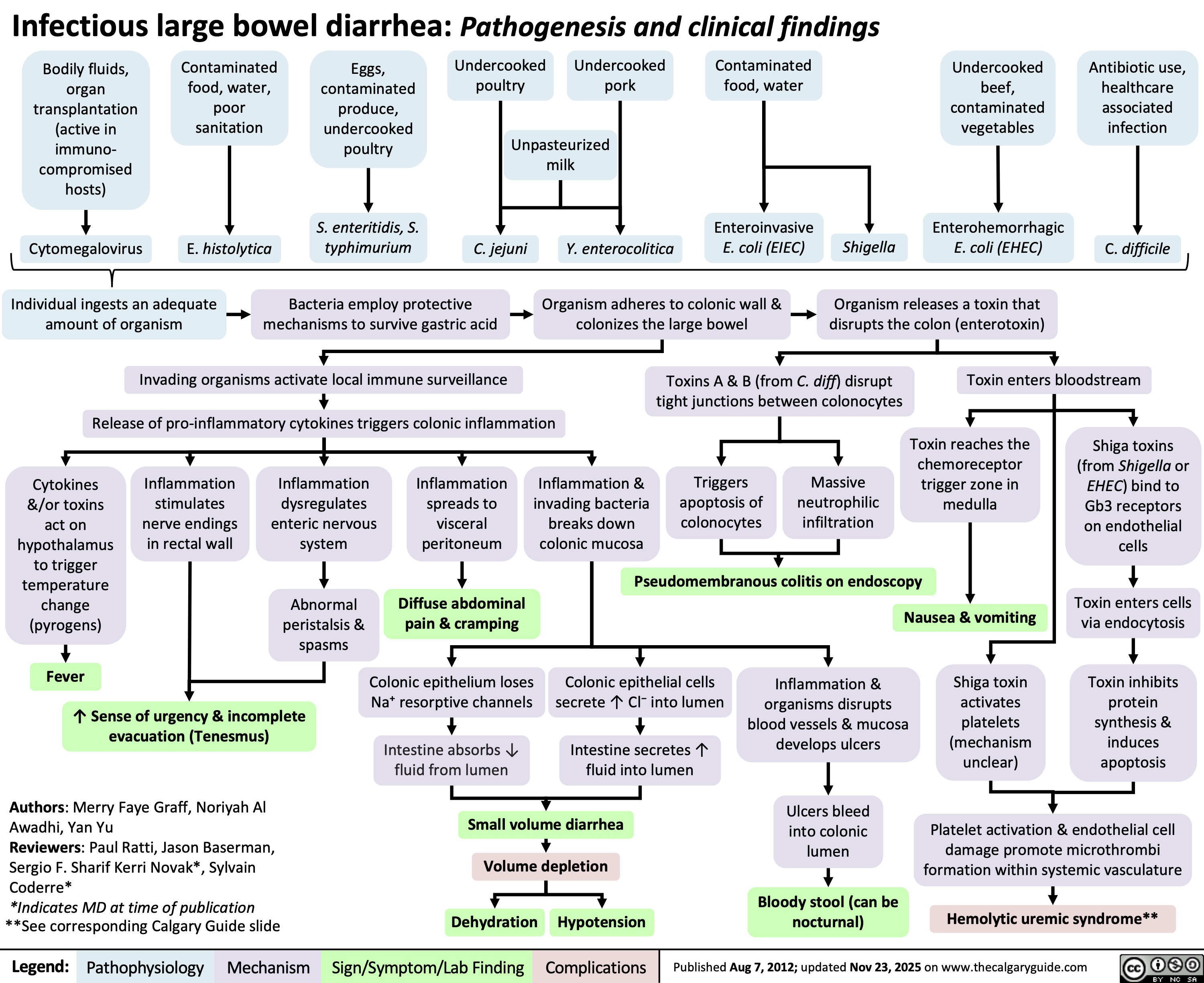 Infectious large bowel diarrhea: Pathogenesis and clinical findings
Bodily fluids,
organ
transplantation
(active in
immuno-
compromised
hosts)
Contaminated
food, water,
poor
sanitation
Eggs,
contaminated
Undercooked
poultry
Undercooked
pork
Contaminated
food, water
produce,
undercooked
poultry
Unpasteurized
milk
Undercooked
beef,
contaminated
vegetables
Antibiotic use,
healthcare
associated
infection
Cytomegalovirus
S. enteritidis, S.
Enteroinvasive
Enterohemorrhagic
typhimurium
E. histolytica Y. enterocolitica
E. coli (EIEC)
Shigella
E. coli (EHEC)
C. jejuni C. difficile
Individual ingests an adequate
amount of organism
Bacteria employ protective
mechanisms to survive gastric acid
Organism adheres to colonic wall &
colonizes the large bowel
Organism releases a toxin that
disrupts the colon (enterotoxin)
Invading organisms activate local immune surveillance
Toxins A & B (from C. diff) disrupt
tight junctions between colonocytes
Toxin enters bloodstream
Release of pro-inflammatory cytokines triggers colonic inflammation
Cytokines
Inflammation
&/or toxins
stimulates
act on
nerve endings
hypothalamus
in rectal wall
to trigger
temperature
change
(pyrogens)
Inflammation
dysregulates
enteric nervous
system
Inflammation
spreads to
visceral
peritoneum
Inflammation &
invading bacteria
breaks down
colonic mucosa
Triggers
apoptosis of
colonocytes
Massive
neutrophilic
infiltration
Toxin reaches the
chemoreceptor
trigger zone in
medulla
Shiga toxins
(from Shigella or
EHEC) bind to
Gb3 receptors
on endothelial
cells
Pseudomembranous colitis on endoscopy
Abnormal
peristalsis &
spasms
Diffuse abdominal
pain & cramping Nausea & vomiting
Toxin enters cells
via endocytosis
Fever
Colonic epithelium loses
Na⁺ resorptive channels
Colonic epithelial cells
secrete ↑ Cl⁻ into lumen
↑ Sense of urgency & incomplete
evacuation (Tenesmus)
Inflammation &
organisms disrupts
blood vessels & mucosa
develops ulcers
Intestine absorbs ↓
fluid from lumen
Intestine secretes ↑
fluid into lumen
Shiga toxin
activates
platelets
(mechanism
unclear)
Toxin inhibits
protein
synthesis &
induces
apoptosis
Authors: Merry Faye Graff, Noriyah Al
Awadhi, Yan Yu
Reviewers: Paul Ratti, Jason Baserman,
Sergio F. Sharif Kerri Novak*, Sylvain
Coderre*
*Indicates MD at time of publication
**See corresponding Calgary Guide slide
Small volume diarrhea
Ulcers bleed
into colonic
lumen
Volume depletion
Platelet activation & endothelial cell
damage promote microthrombi
formation within systemic vasculature
Dehydration
Hypotension
Bloody stool (can be
nocturnal)
Hemolytic uremic syndrome**
Legend: Pathophysiology Mechanism
Sign/Symptom/Lab Finding Complications
Published Aug 7, 2012; updated Nov 23, 2025 on www.thecalgaryguide.com