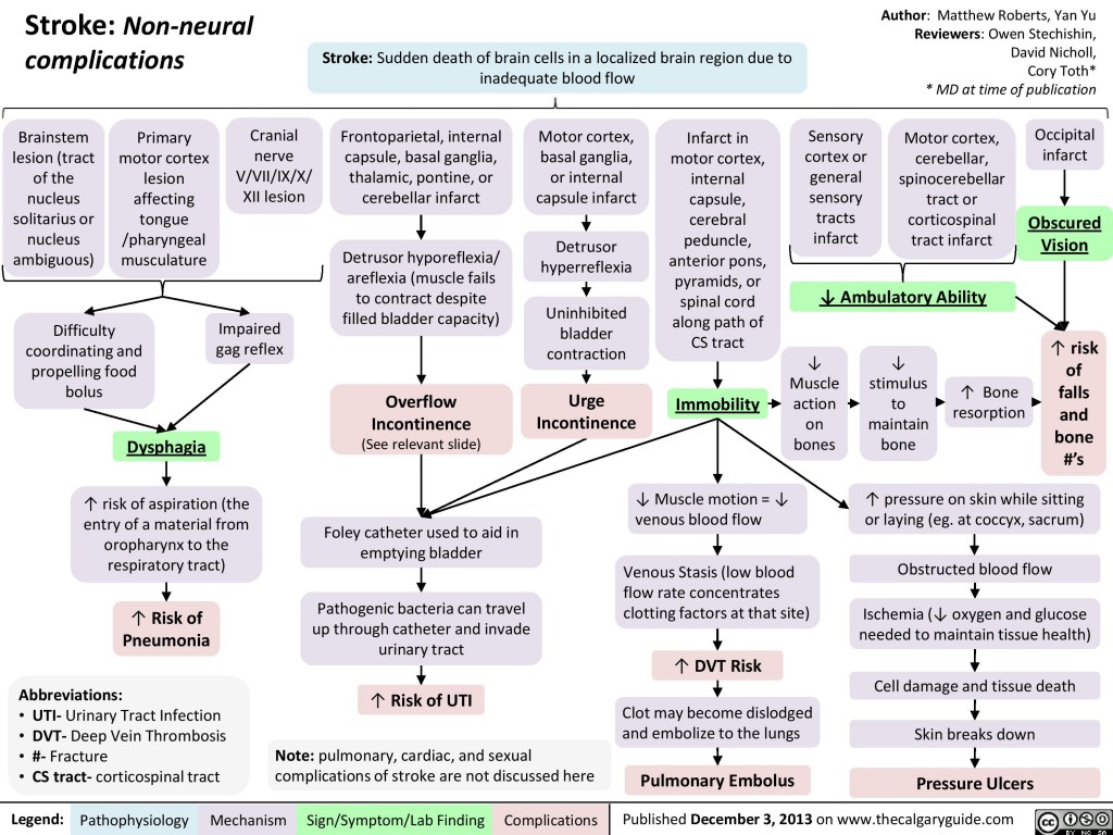 Stroke: Non-neural complications | Calgary Guide