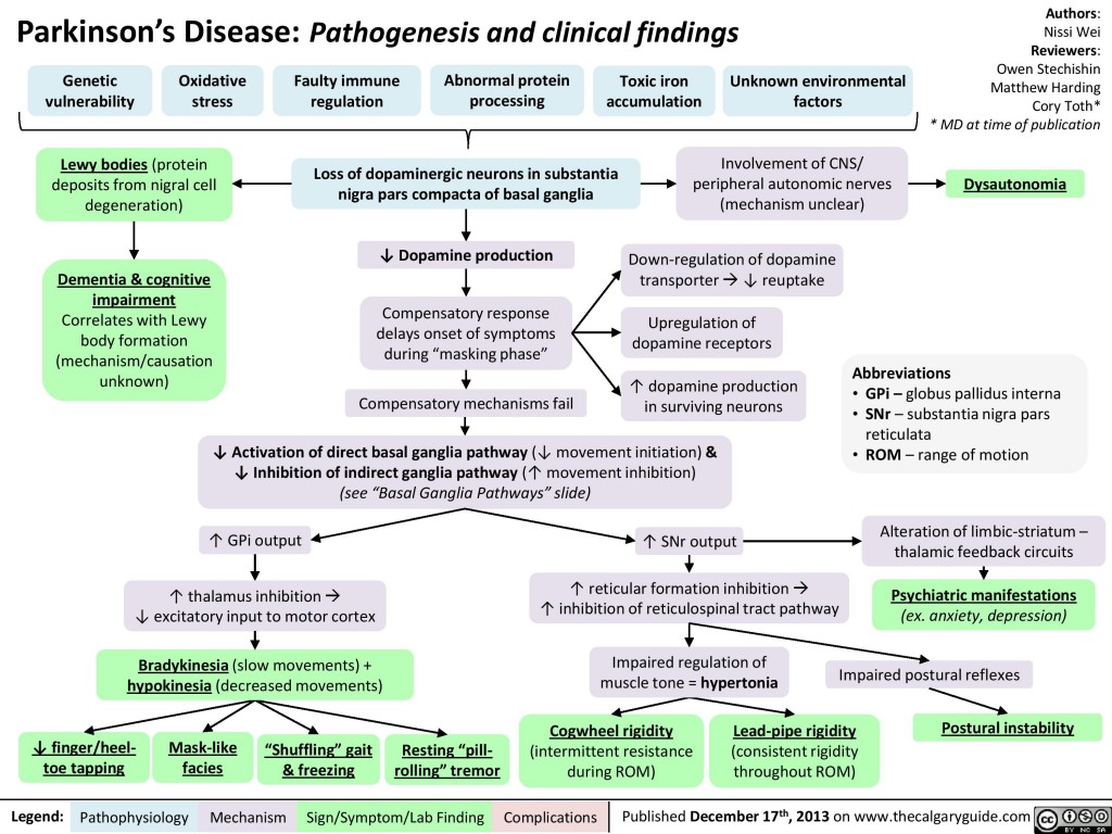 Parkinson's Disease: Pathogenesis and clinical findings | Calgary Guide
