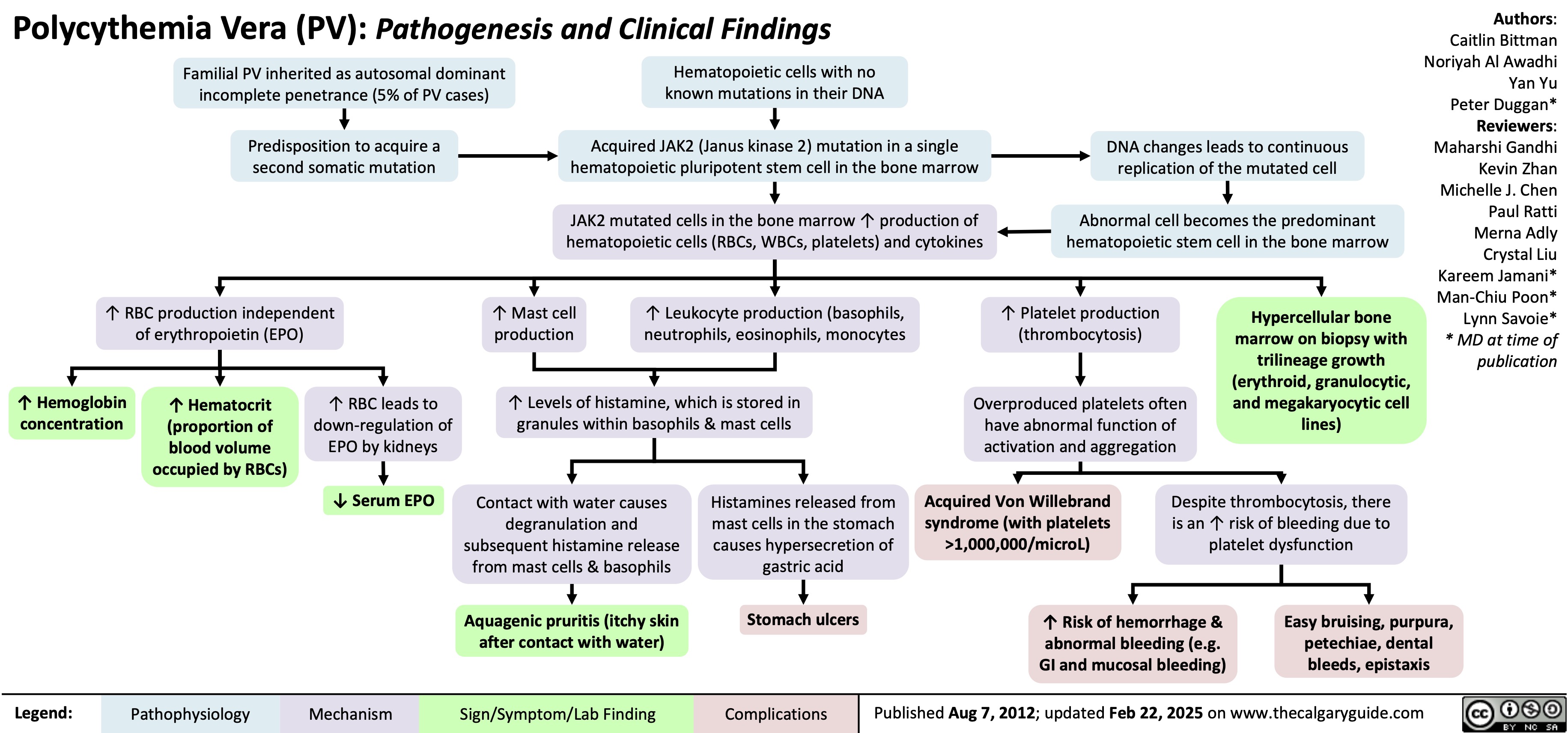 Polycythemia Vera (PV): Pathogenesis and Clinical Findings
Authors: Caitlin Bittman Noriyah Al Awadhi Yan Yu Peter Duggan* Reviewers: Maharshi Gandhi Kevin Zhan Michelle J. Chen Paul Ratti Merna Adly Crystal Liu Kareem Jamani* Man-Chiu Poon* Lynn Savoie* * MD at time of publication
  Familial PV inherited as autosomal dominant incomplete penetrance (5% of PV cases)
Predisposition to acquire a second somatic mutation
Hematopoietic cells with no known mutations in their DNA
Acquired JAK2 (Janus kinase 2) mutation in a single hematopoietic pluripotent stem cell in the bone marrow
JAK2 mutated cells in the bone marrow ↑ production of hematopoietic cells (RBCs, WBCs, platelets) and cytokines
DNA changes leads to continuous replication of the mutated cell
Abnormal cell becomes the predominant hematopoietic stem cell in the bone marrow
                 ↑ RBC production independent of erythropoietin (EPO)
↑ Mast cell production
↑ Leukocyte production (basophils, neutrophils, eosinophils, monocytes
↑ Platelet production (thrombocytosis)
Overproduced platelets often have abnormal function of activation and aggregation
Hypercellular bone marrow on biopsy with trilineage growth (erythroid, granulocytic, and megakaryocytic cell lines)
       ↑ Hemoglobin concentration
↑ Hematocrit (proportion of blood volume occupied by RBCs)
↑ RBC leads to down-regulation of EPO by kidneys
↓ Serum EPO
↑ Levels of histamine, which is stored in granules within basophils & mast cells
       Contact with water causes degranulation and subsequent histamine release from mast cells & basophils
Aquagenic pruritis (itchy skin after contact with water)
Histamines released from mast cells in the stomach causes hypersecretion of gastric acid
Stomach ulcers
Acquired Von Willebrand syndrome (with platelets >1,000,000/microL)
Despite thrombocytosis, there is an ↑ risk of bleeding due to platelet dysfunction
     ↑ Risk of hemorrhage & abnormal bleeding (e.g. GI and mucosal bleeding)
Easy bruising, purpura, petechiae, dental bleeds, epistaxis
 Legend:
 Pathophysiology
Mechanism
Sign/Symptom/Lab Finding
  Complications
 Published Aug 7, 2012; updated Feb 22, 2025 on www.thecalgaryguide.com
   