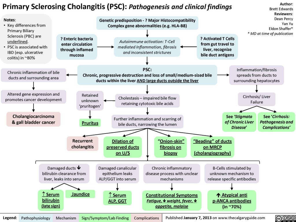 Primary Sclerosing Cholangitis (PSC) | Calgary Guide